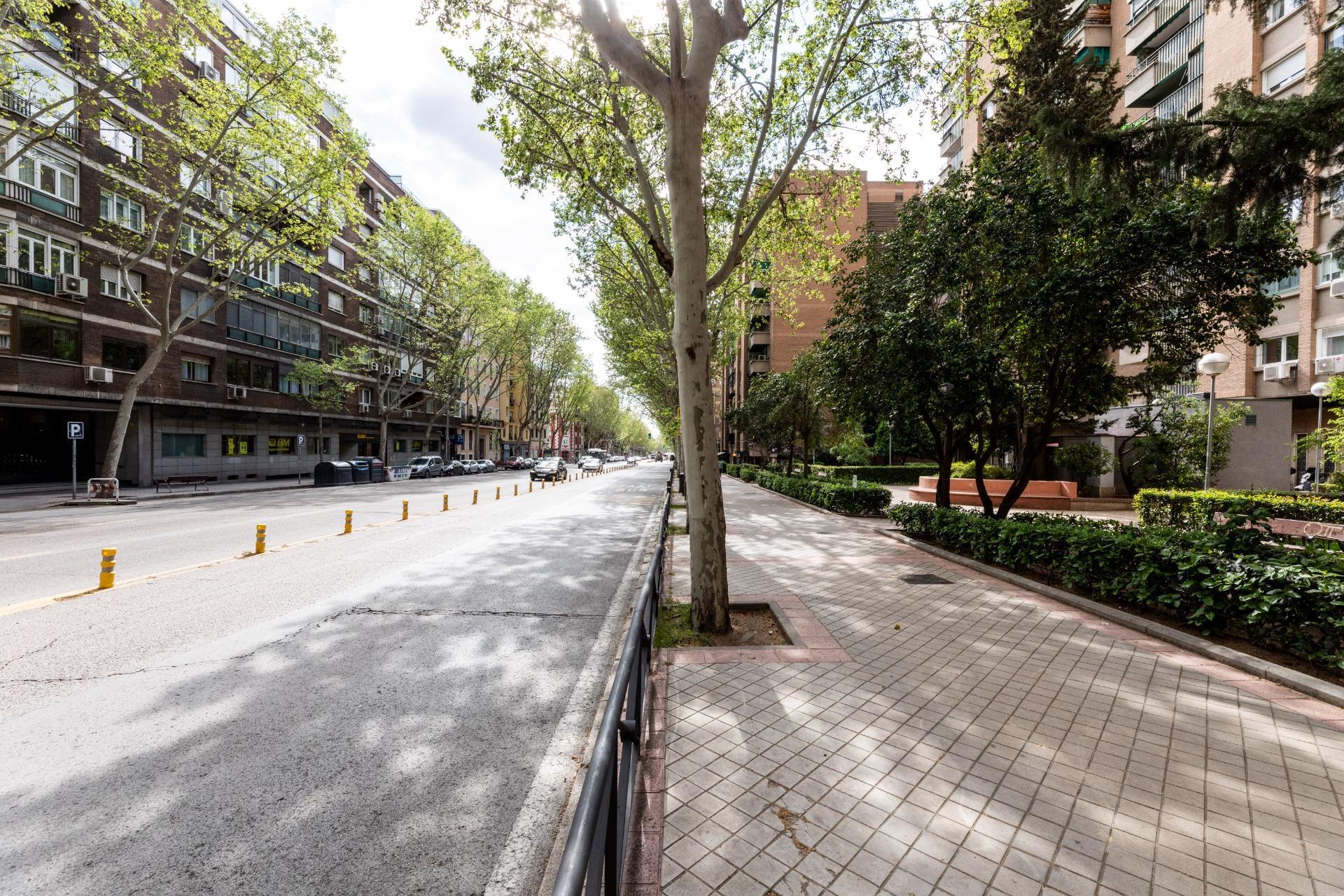 Pisos-Venta-Madrid-1717691-Foto-24