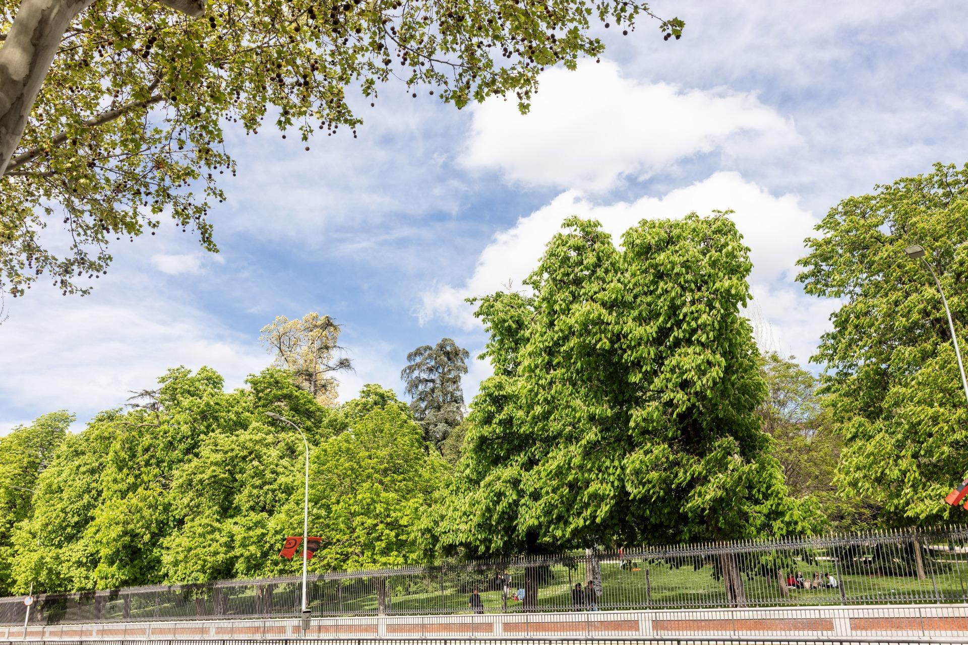 Pisos-Venta-Madrid-1717691-Foto-26