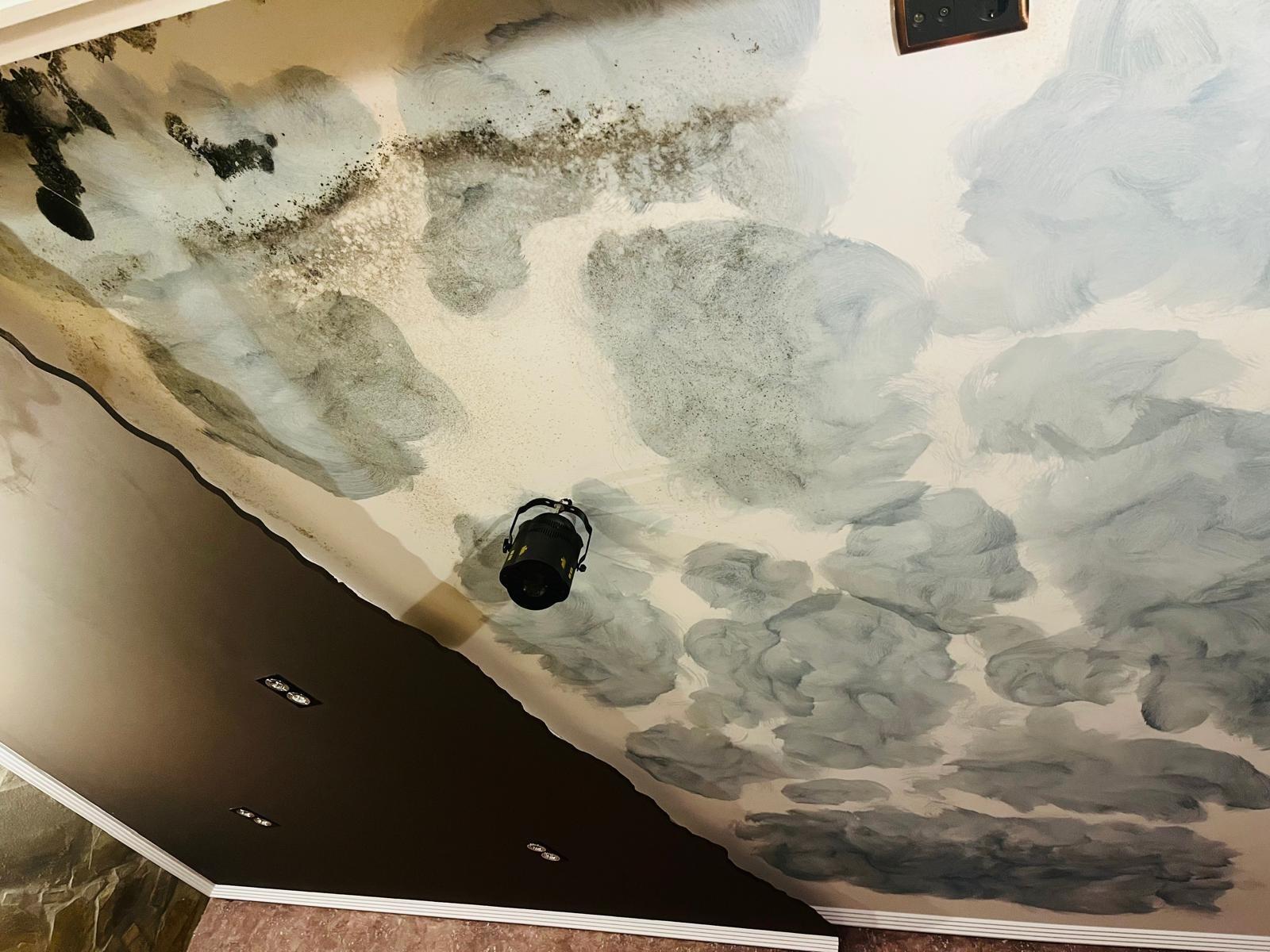 Casas o chalets-Venta-Ponferrada-1838907-Foto-34