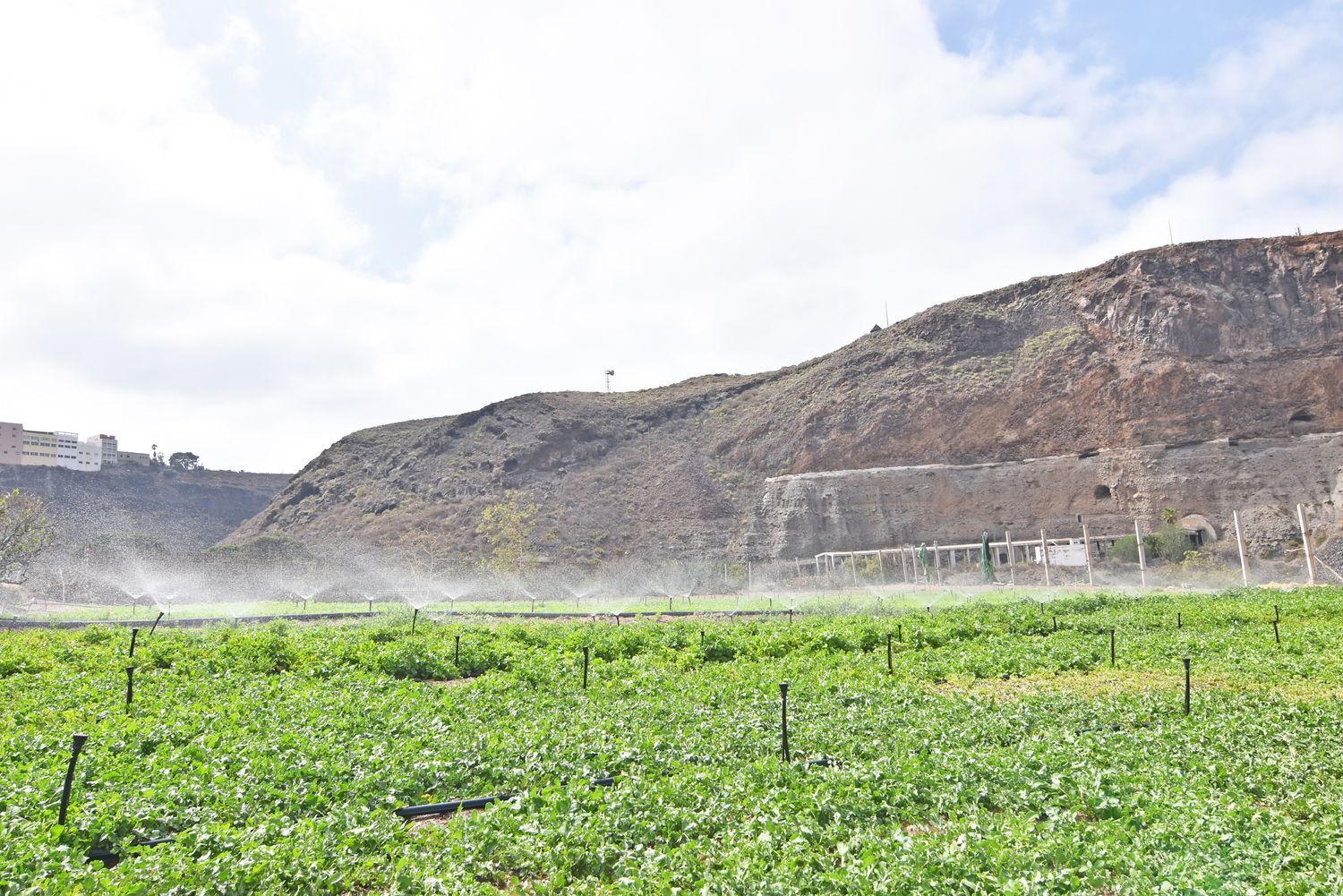 Casas o chalets-Venta-Las Palmas de Gran Canaria-1791746-Foto-52