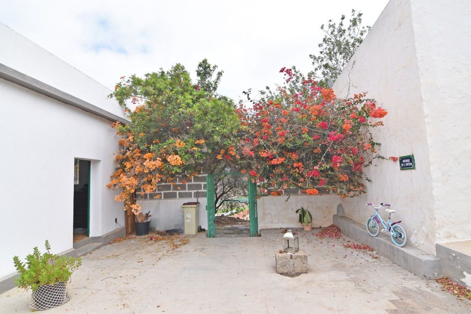 Fincas y solares-Venta-Las Palmas de Gran Canaria-1828327-Foto-6