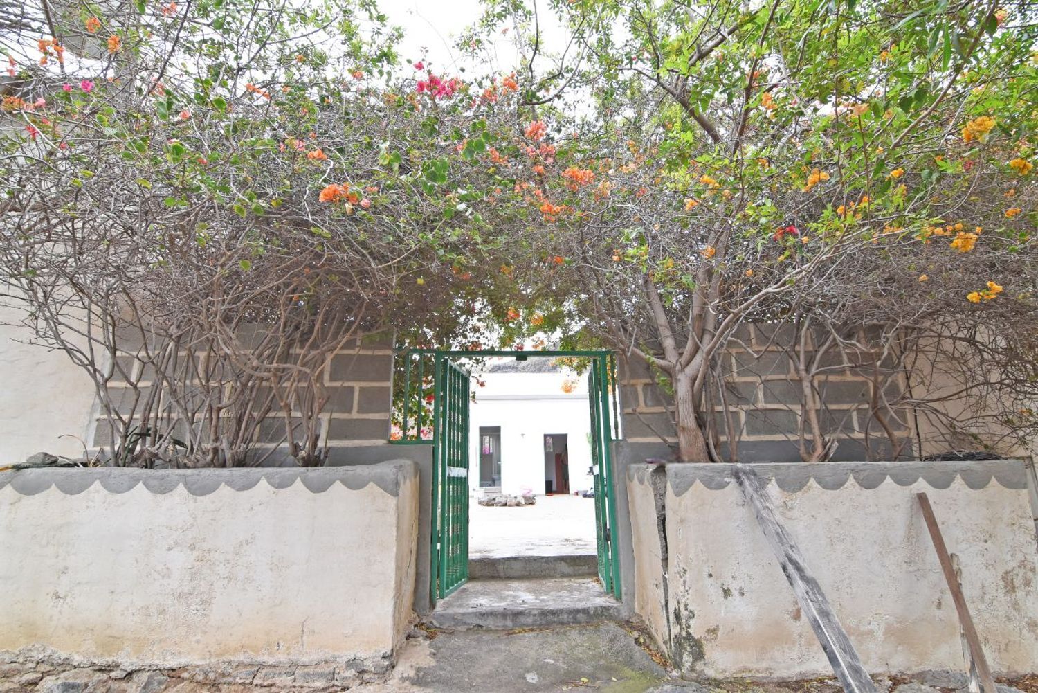 Fincas y solares-Venta-Las Palmas de Gran Canaria-1828327-Foto-12