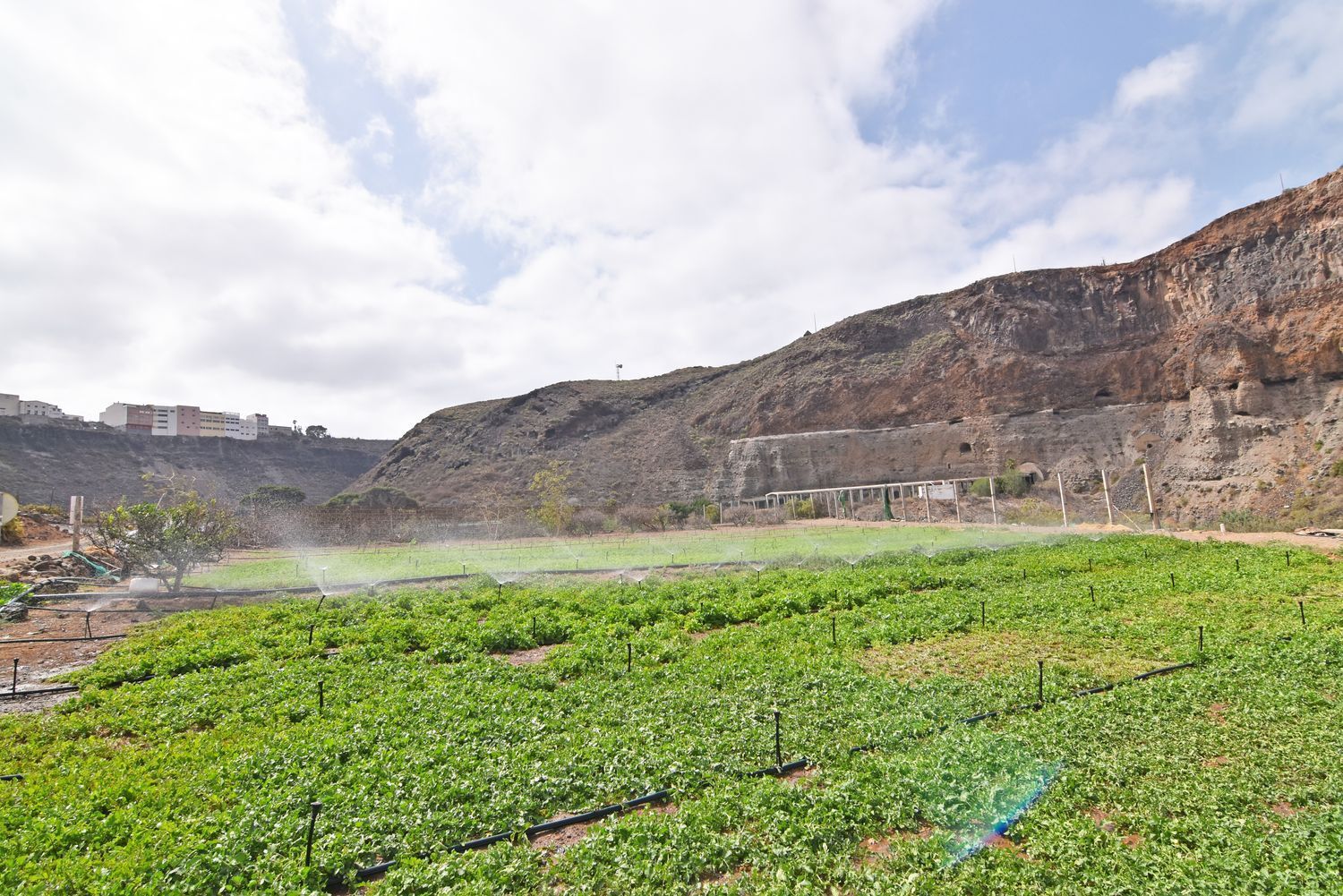 Fincas y solares-Venta-Las Palmas de Gran Canaria-1828327-Foto-31