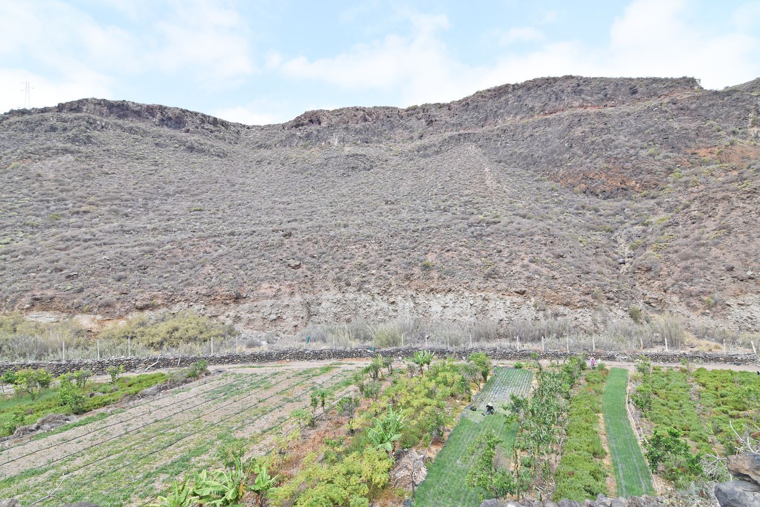 Fincas y solares-Venta-Las Palmas de Gran Canaria-1828327-Foto-33