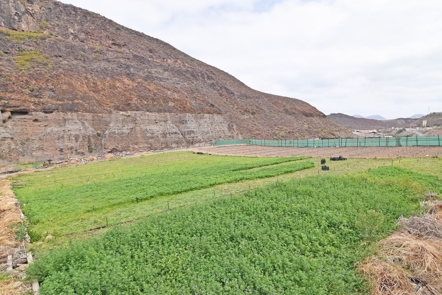 Fincas y solares-Venta-Las Palmas de Gran Canaria-1828327-Foto-32