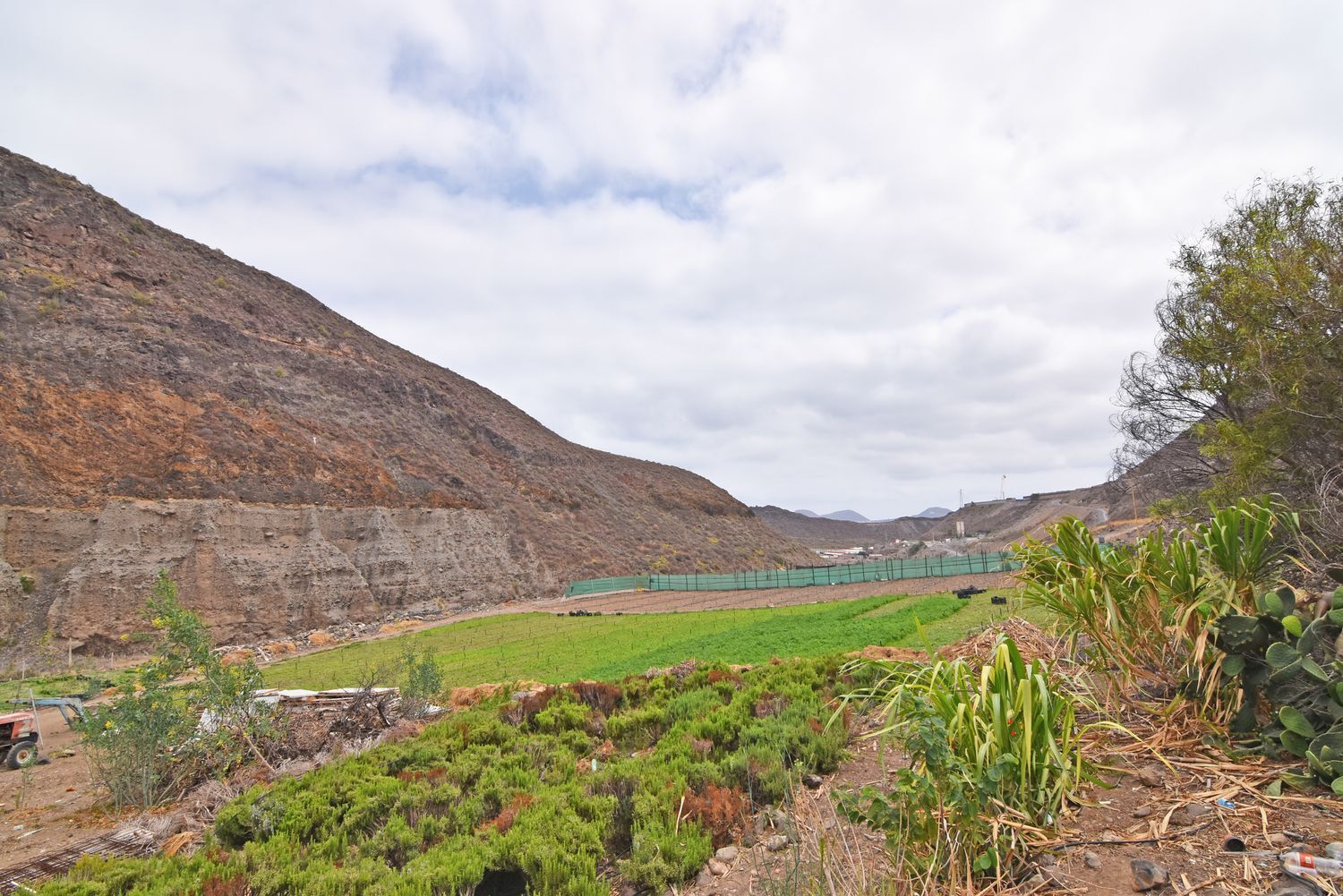 Fincas y solares-Venta-Las Palmas de Gran Canaria-1828327-Foto-57