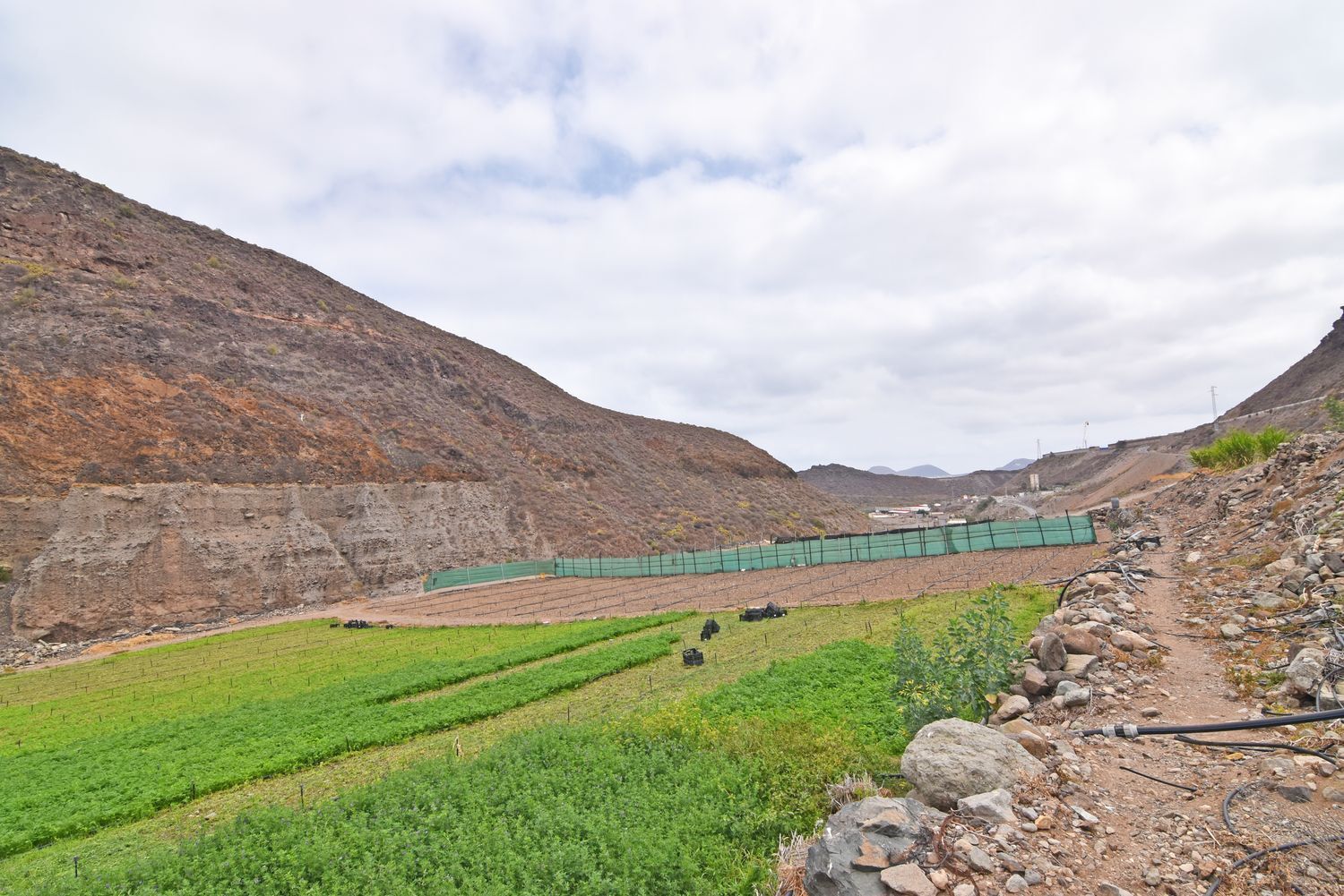 Fincas y solares-Venta-Las Palmas de Gran Canaria-1828327-Foto-55