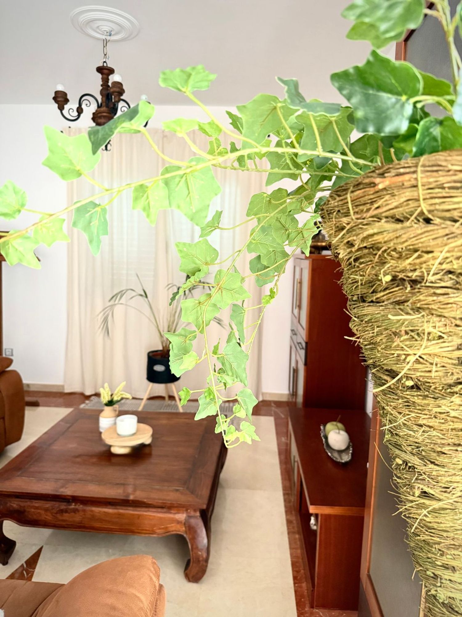 Casas o chalets-Venta-Santa MarÃ­a de GuÃ­a de Gran Canaria-1838125-Foto-14