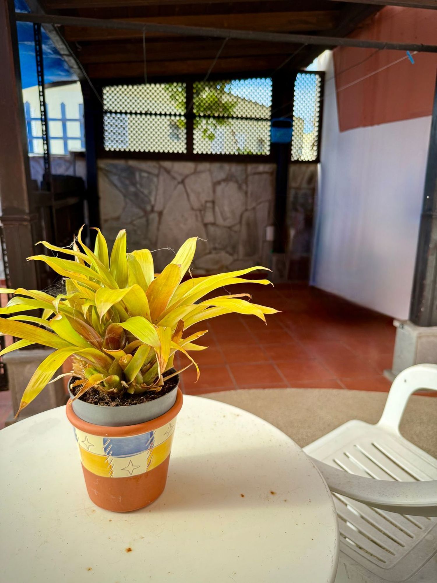 Casas o chalets-Venta-Santa MarÃ­a de GuÃ­a de Gran Canaria-1838125-Foto-44