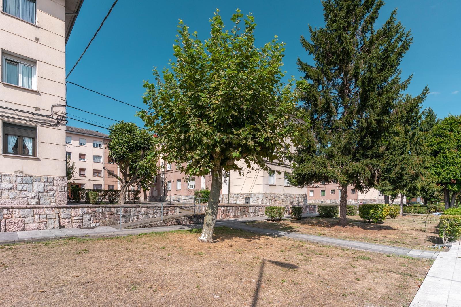 Pisos-Venta-Oviedo-1839348-Foto-32
