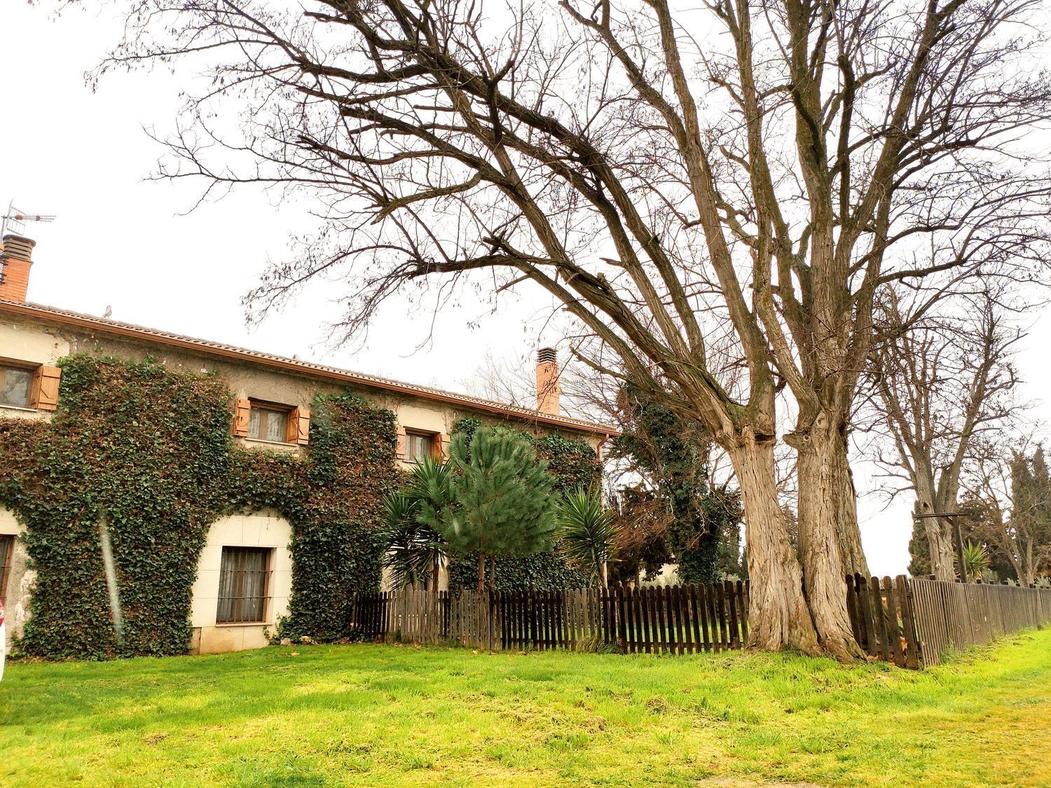 Casas o chalets-Venta-Cabanillas-1726985