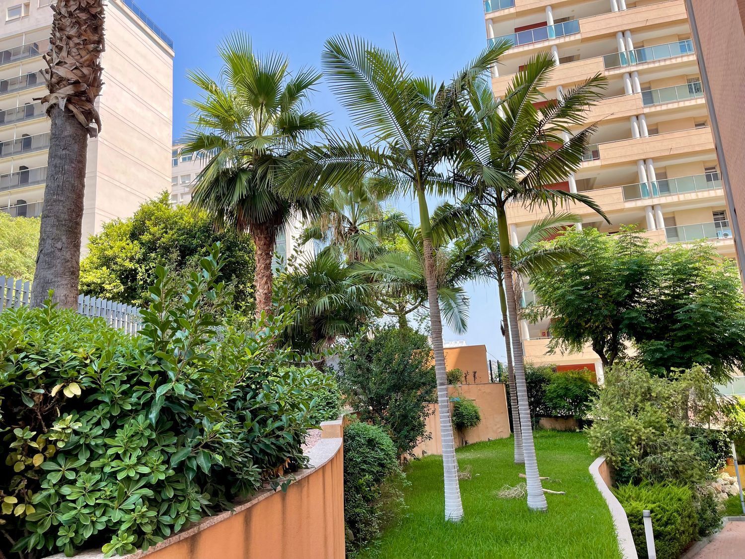 Pisos-Venta-La Villajoyosa / Vila Joiosa-1840893-Foto-25