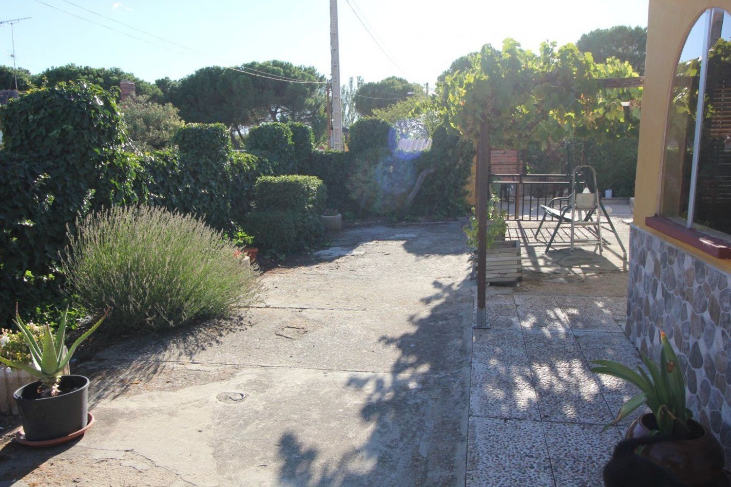 Casas o chalets-Venta-Medina del Campo-994931-Foto-69