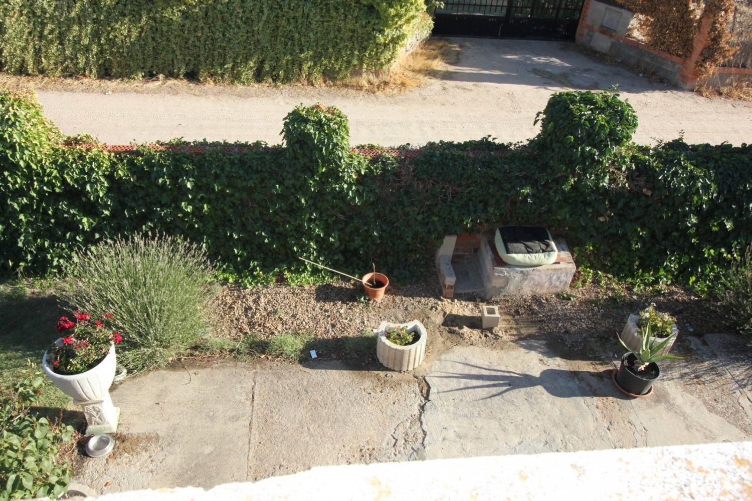 Casas o chalets-Venta-Medina del Campo-994931-Foto-75