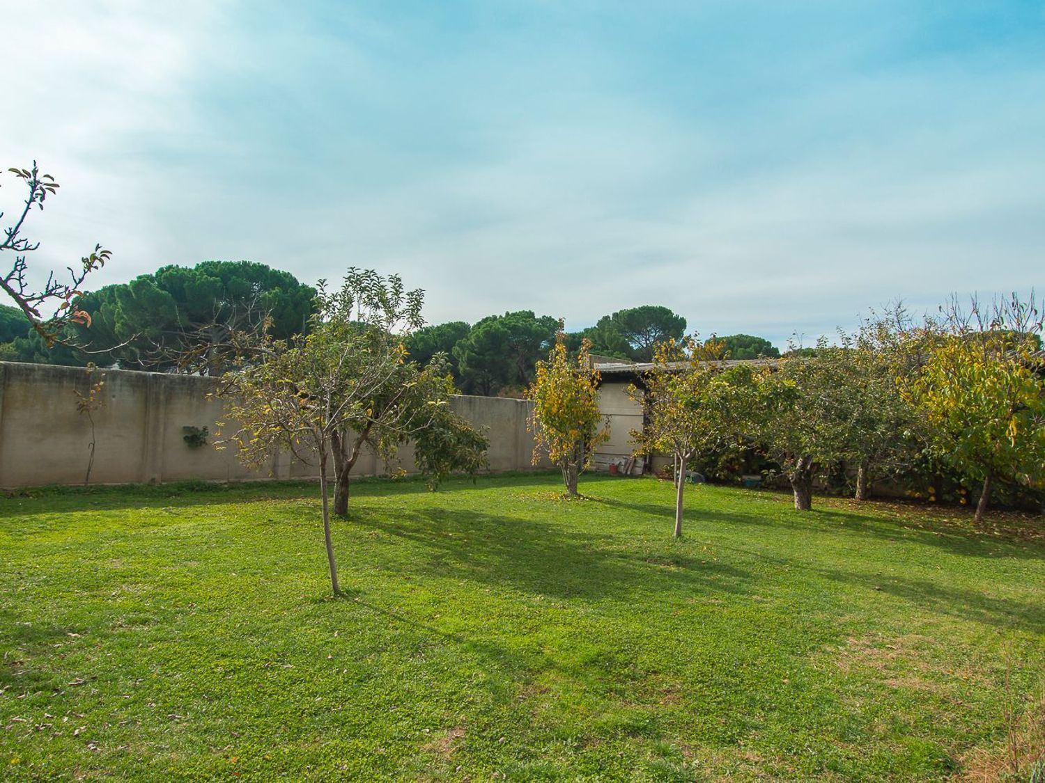 Casas o chalets-Venta-Laguna de Duero-1839360-Foto-11