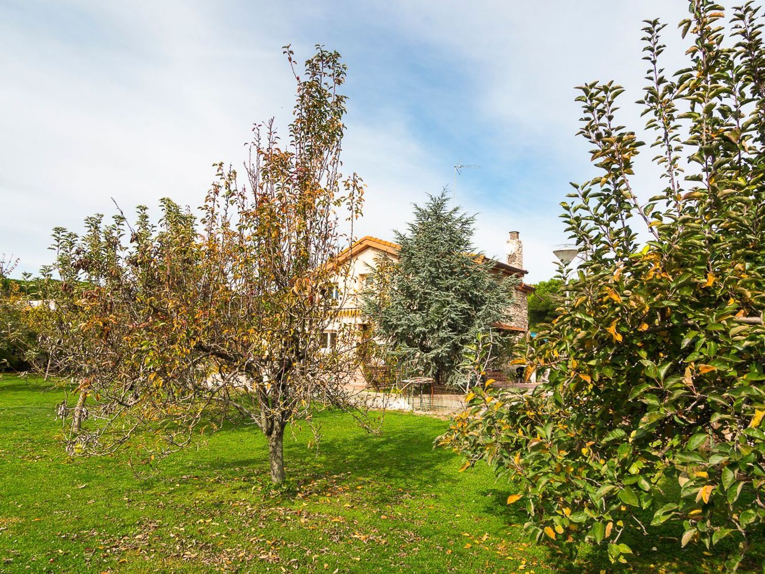 Casas o chalets-Venta-Laguna de Duero-1839360-Foto-14