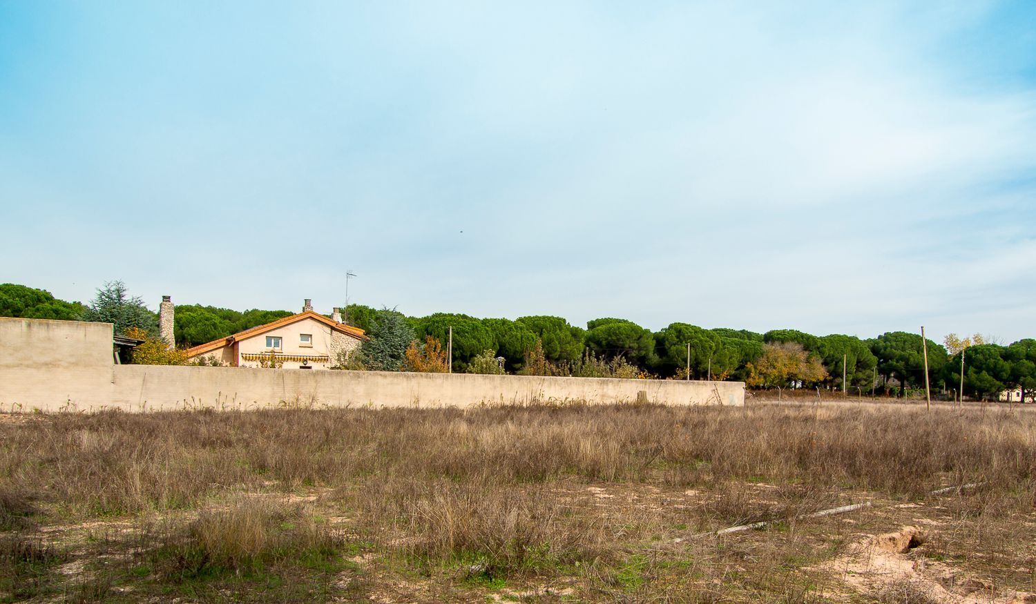 Casas o chalets-Venta-Laguna de Duero-1839360-Foto-50
