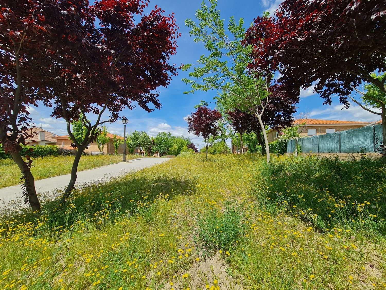 Casas o chalets-Venta-Villaviciosa de OdÃ³n-1745617-Foto-37