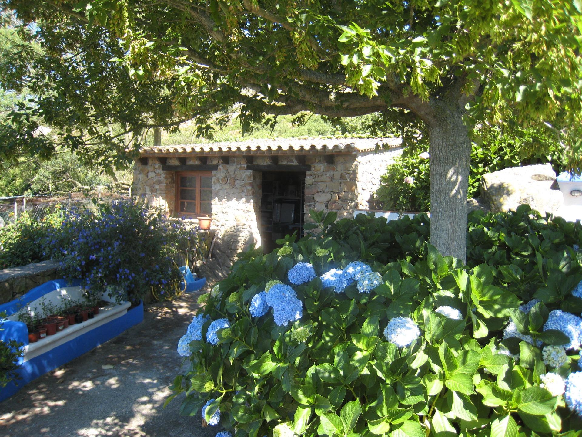 Pisos-Venta-Tarifa-1838081-Foto-21