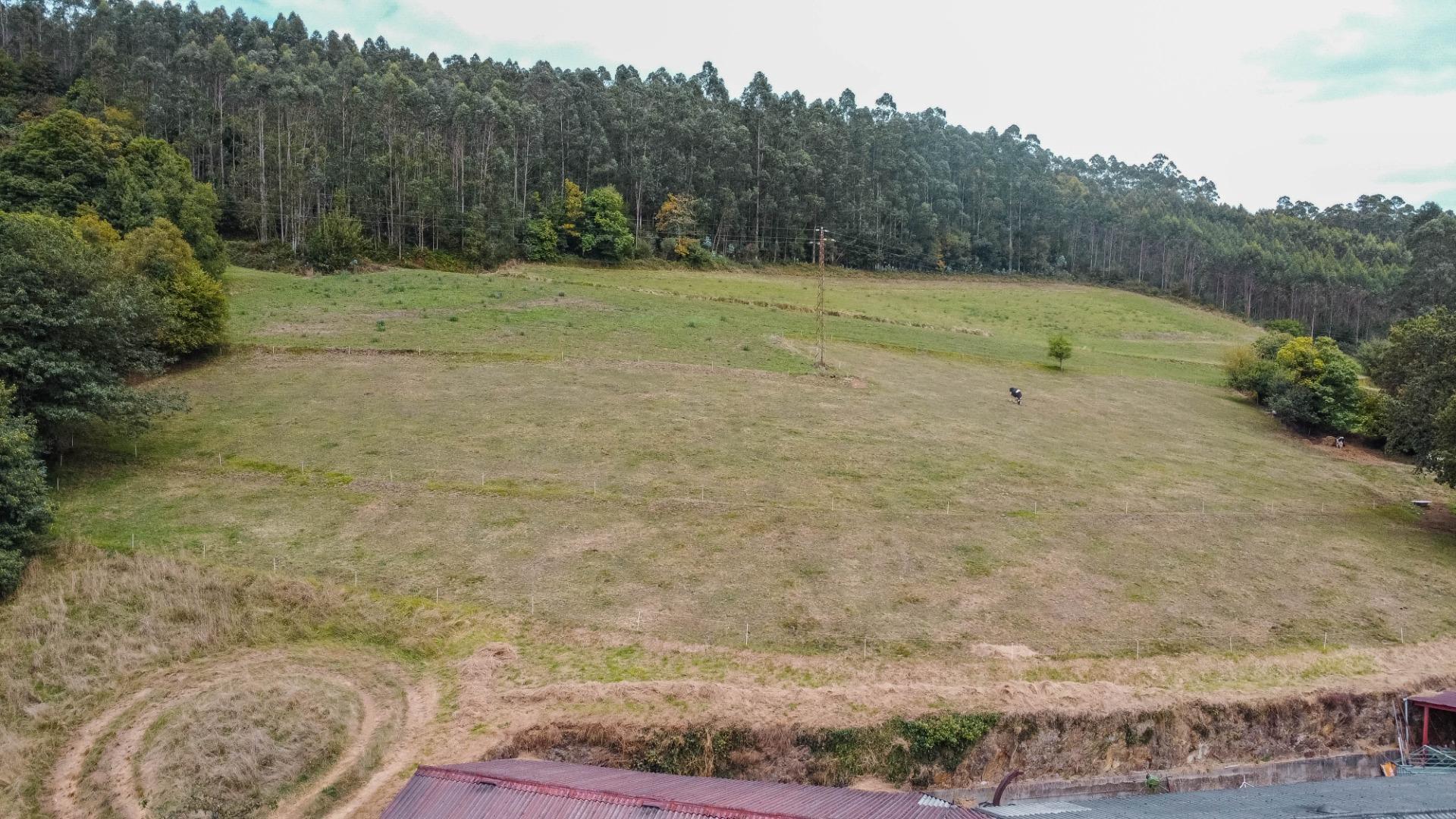 Casas o chalets-Venta-Pravia-1839785-Foto-38