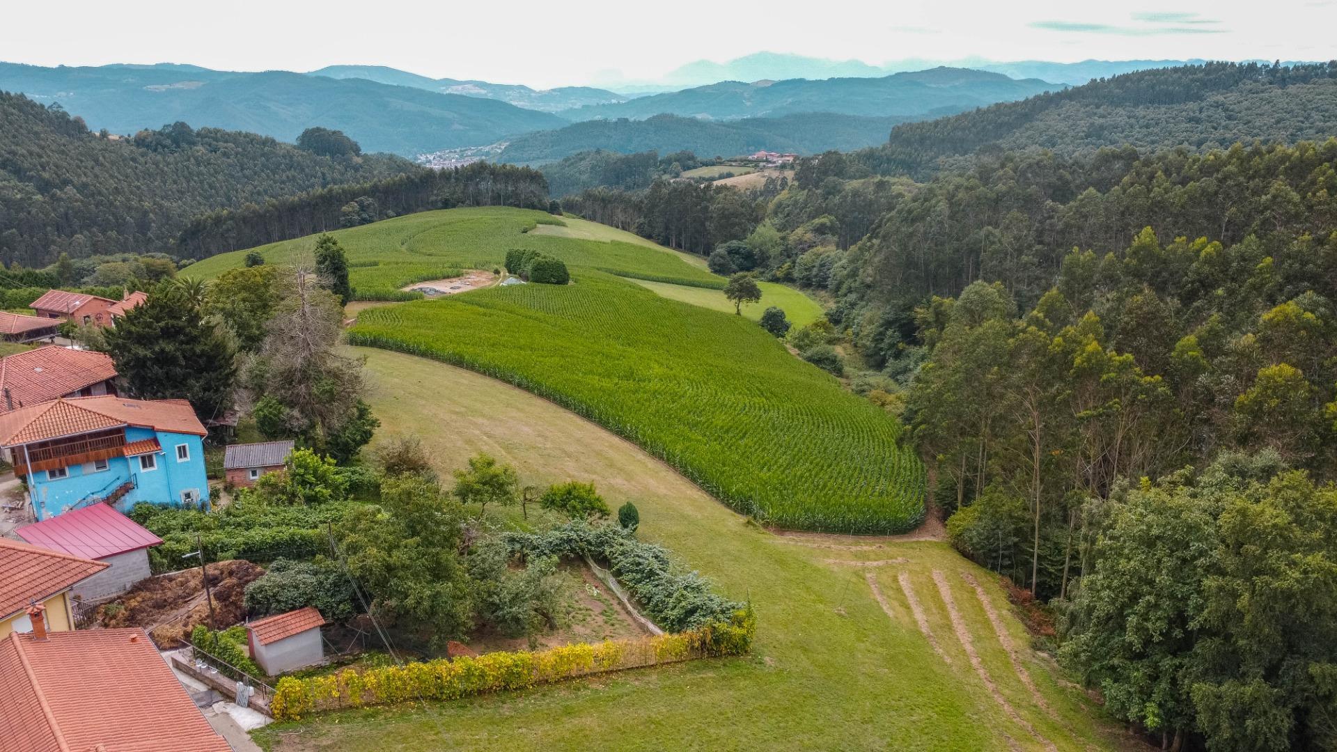 Casas o chalets-Venta-Pravia-1839785-Foto-37
