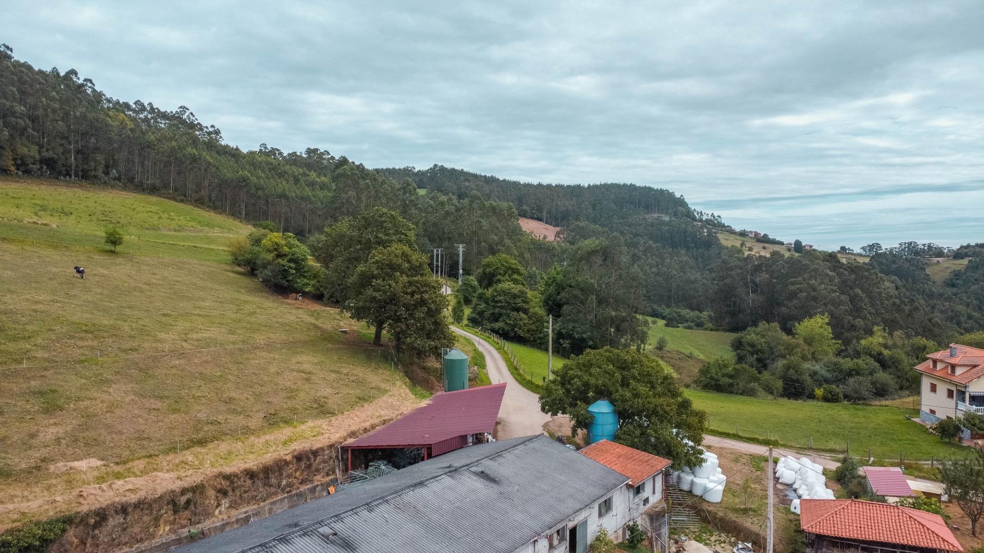 Casas o chalets-Venta-Pravia-1839785-Foto-39