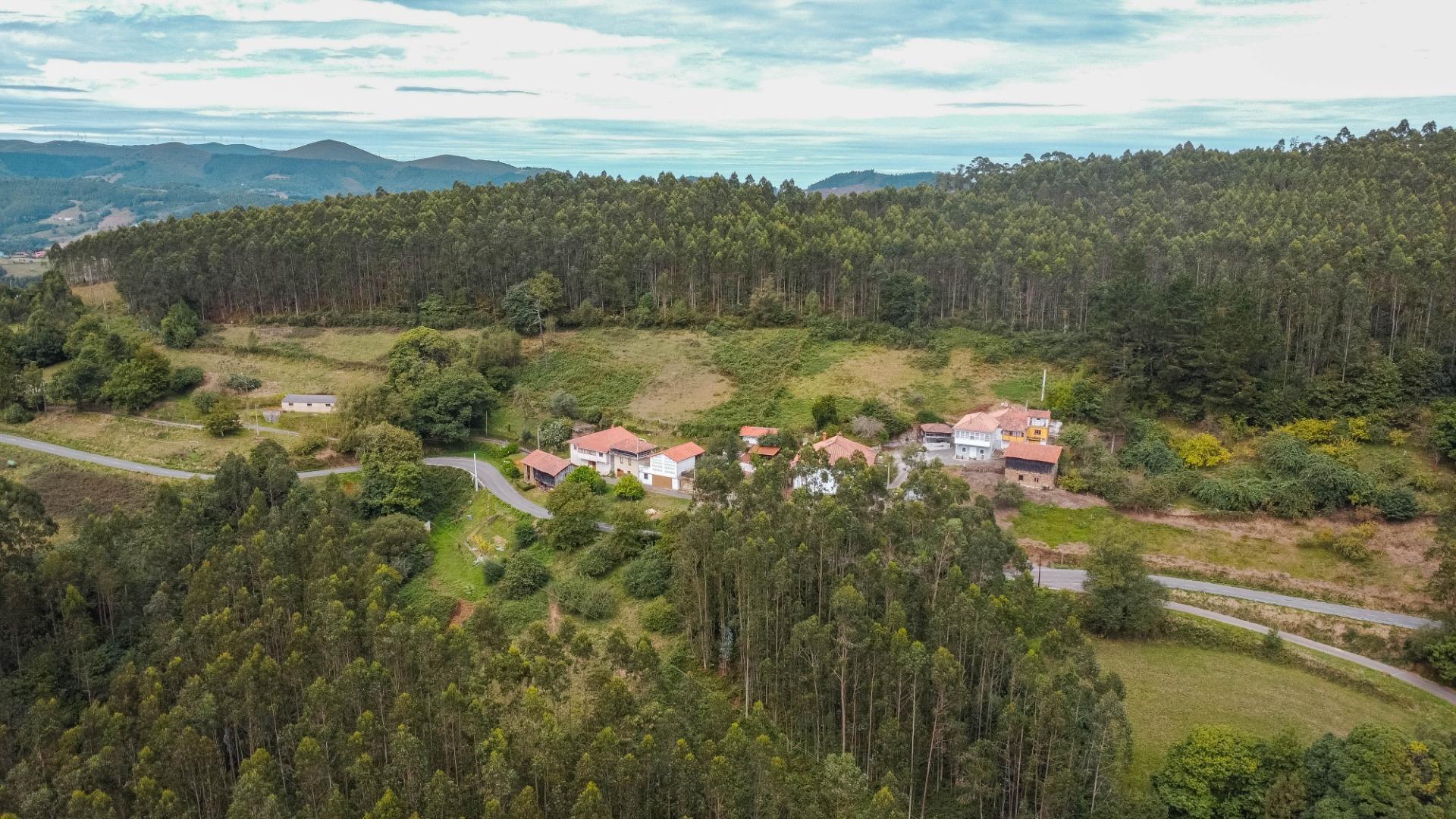Casas o chalets-Venta-Pravia-1839785-Foto-45