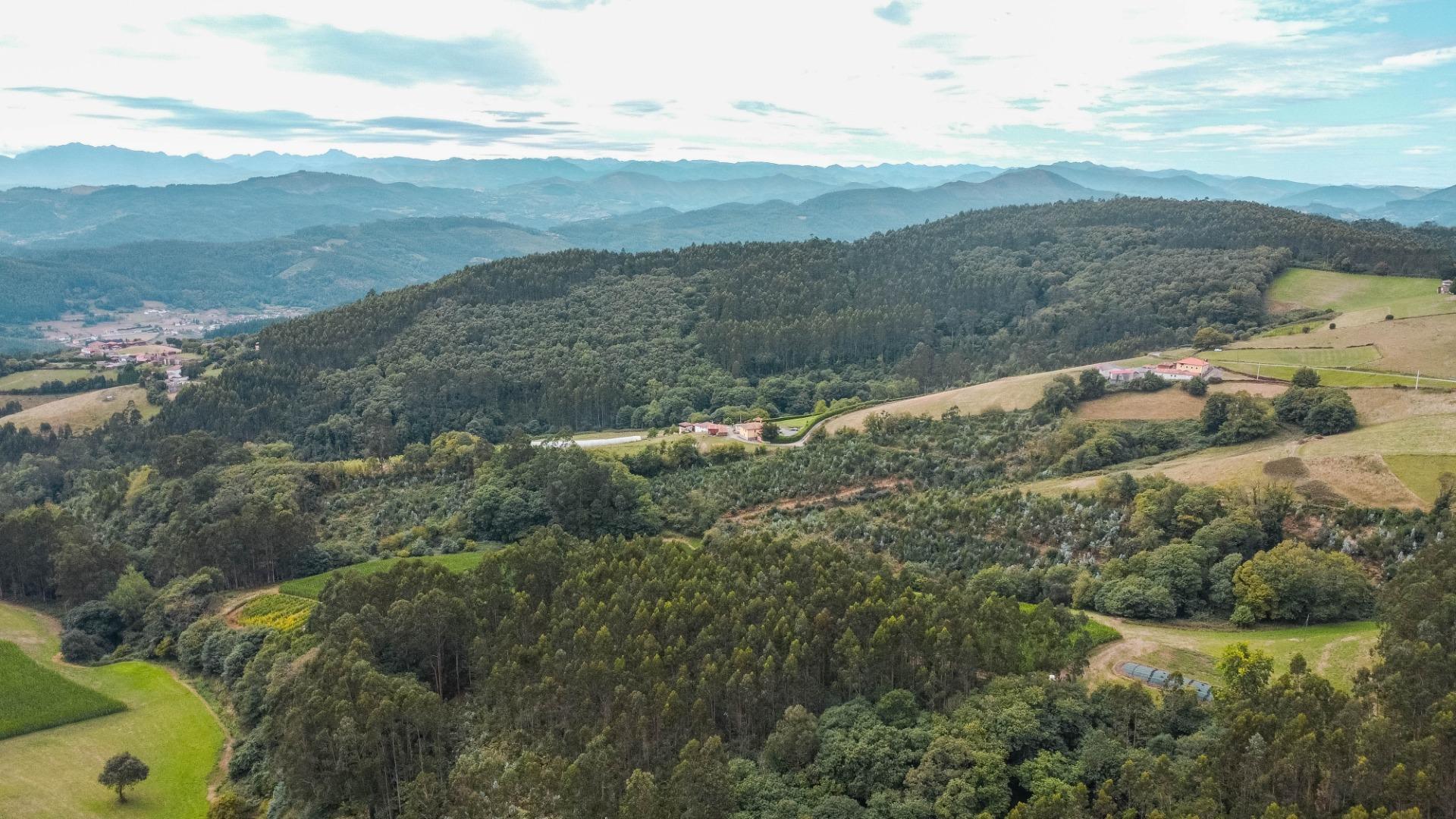 Casas o chalets-Venta-Pravia-1839785-Foto-42