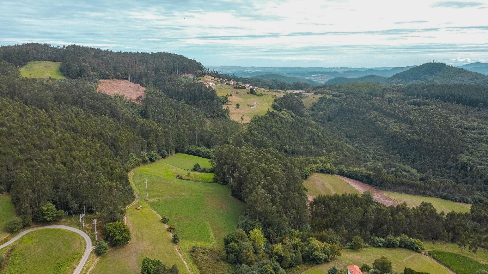 Casas o chalets-Venta-Pravia-1839785-Foto-48