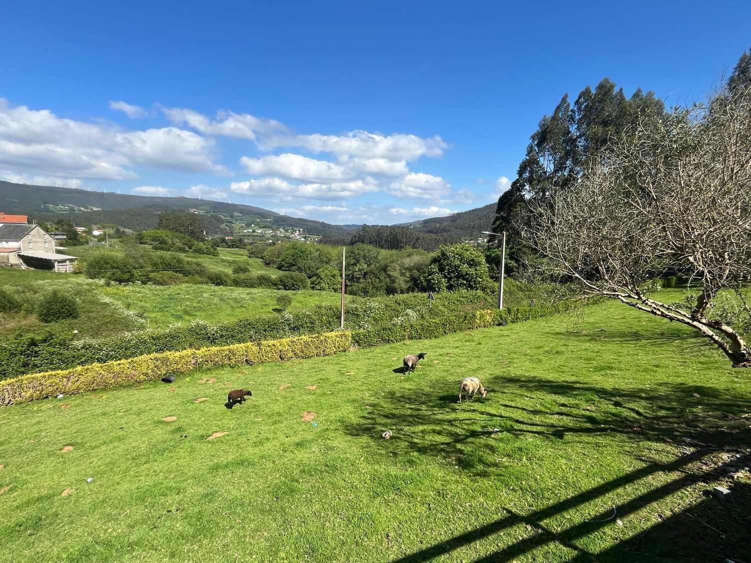 Casas o chalets-Venta-Cedeira-1830071-Foto-41