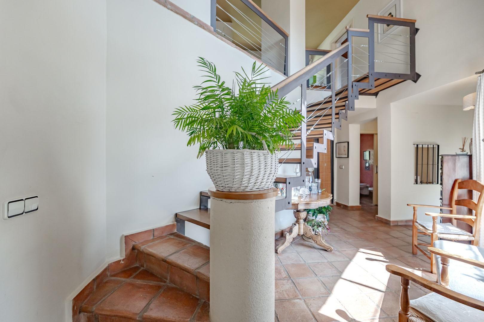 Casas o chalets en Sevilla la Nueva
