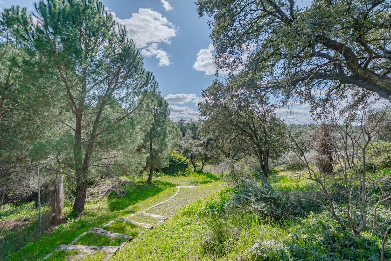 Casas o chalets en Sevilla la Nueva