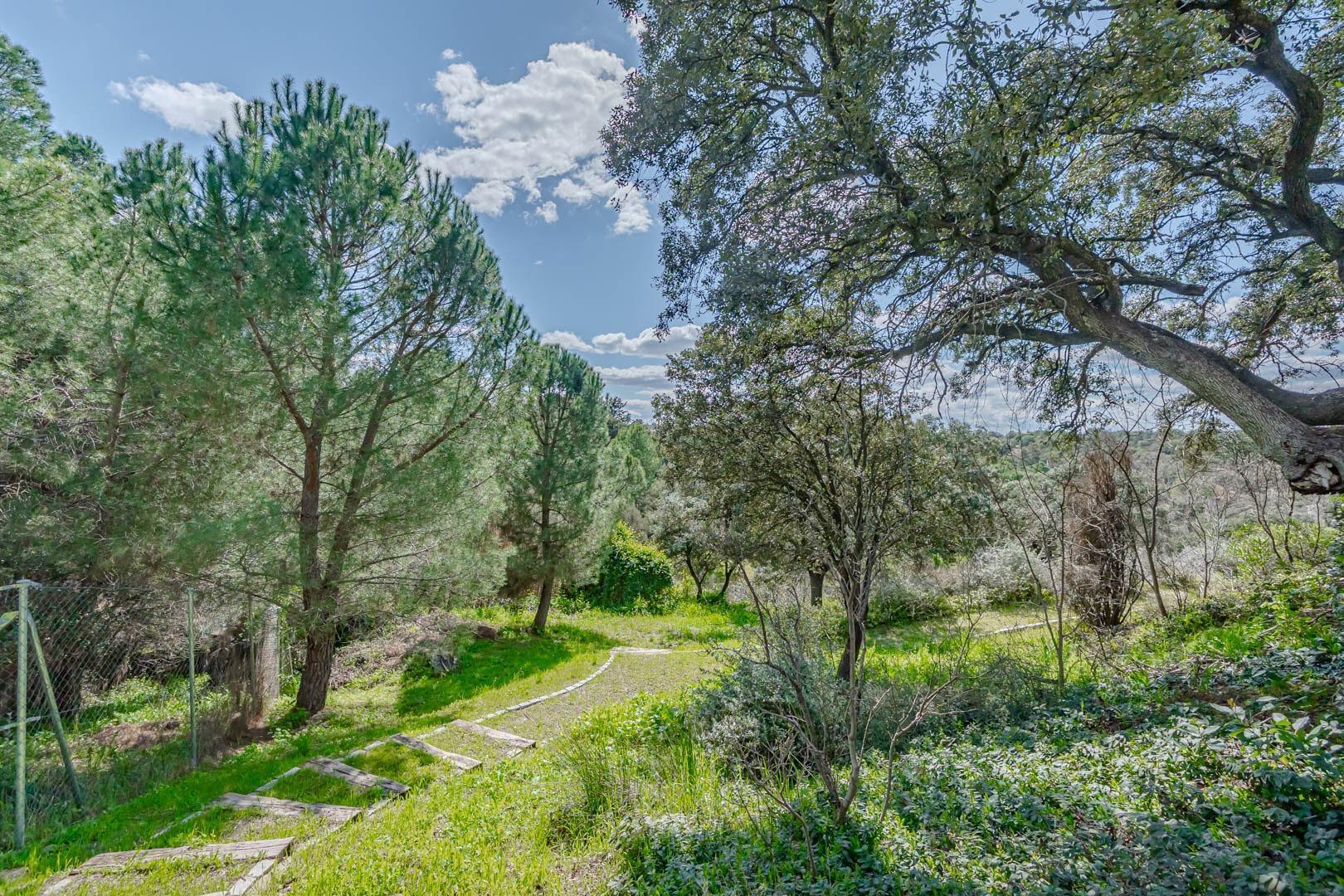 Casas o chalets en Sevilla la Nueva