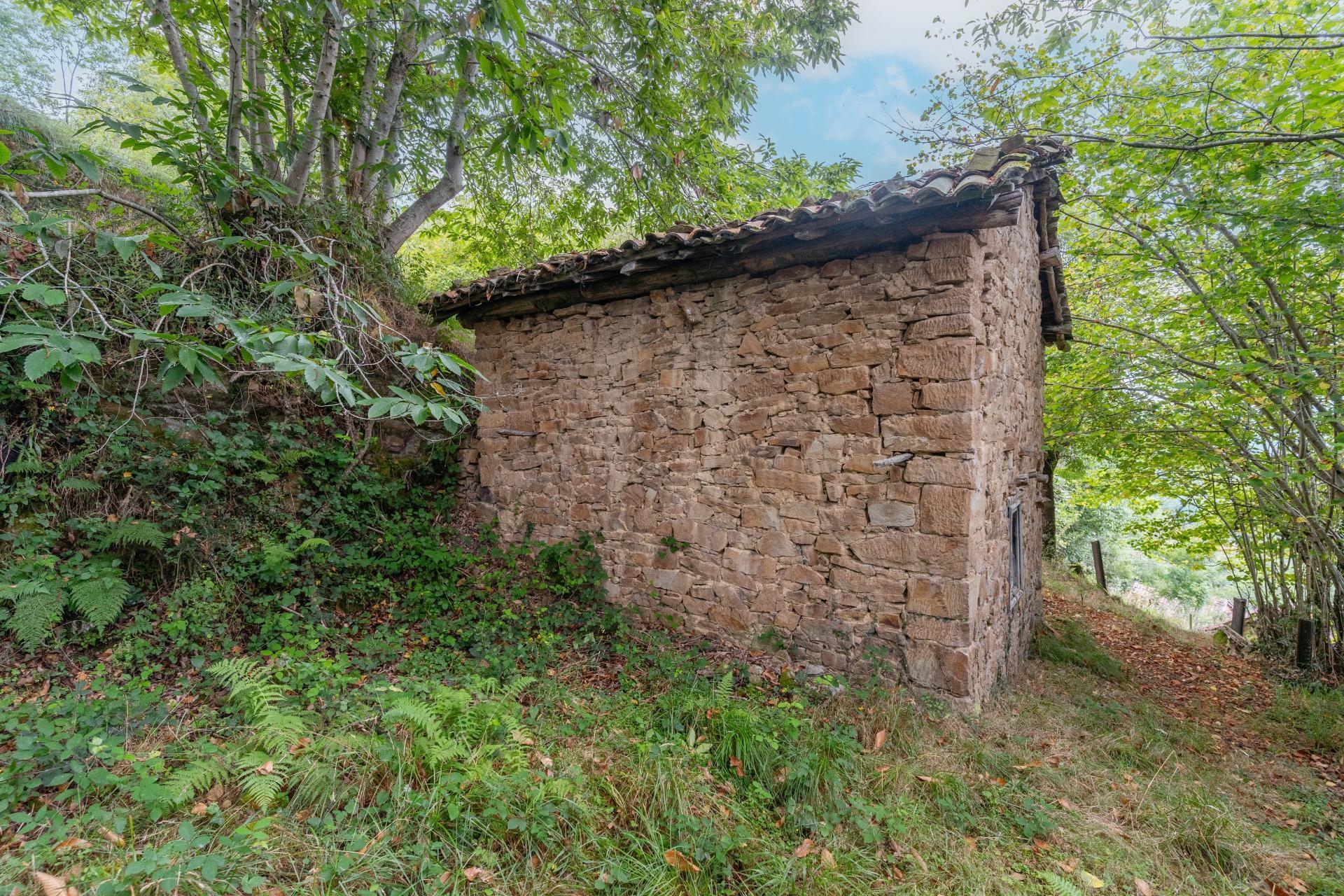 Fincas y solares-Venta-San Martín del Rey Aurelio-1839797