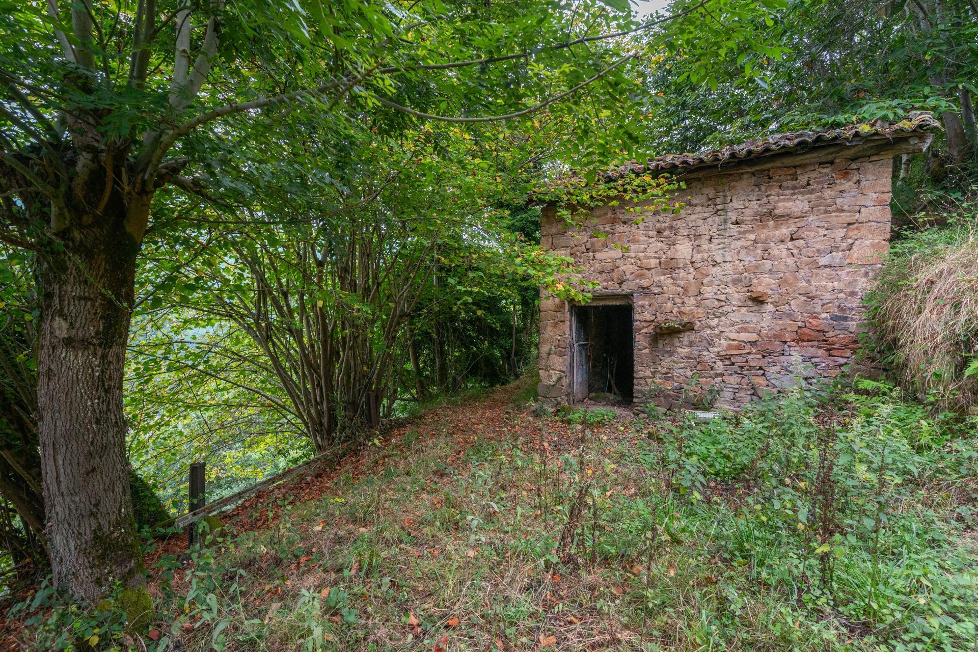 Fincas y solares-Venta-San MartÃ­n del Rey Aurelio-1839797-Foto-9