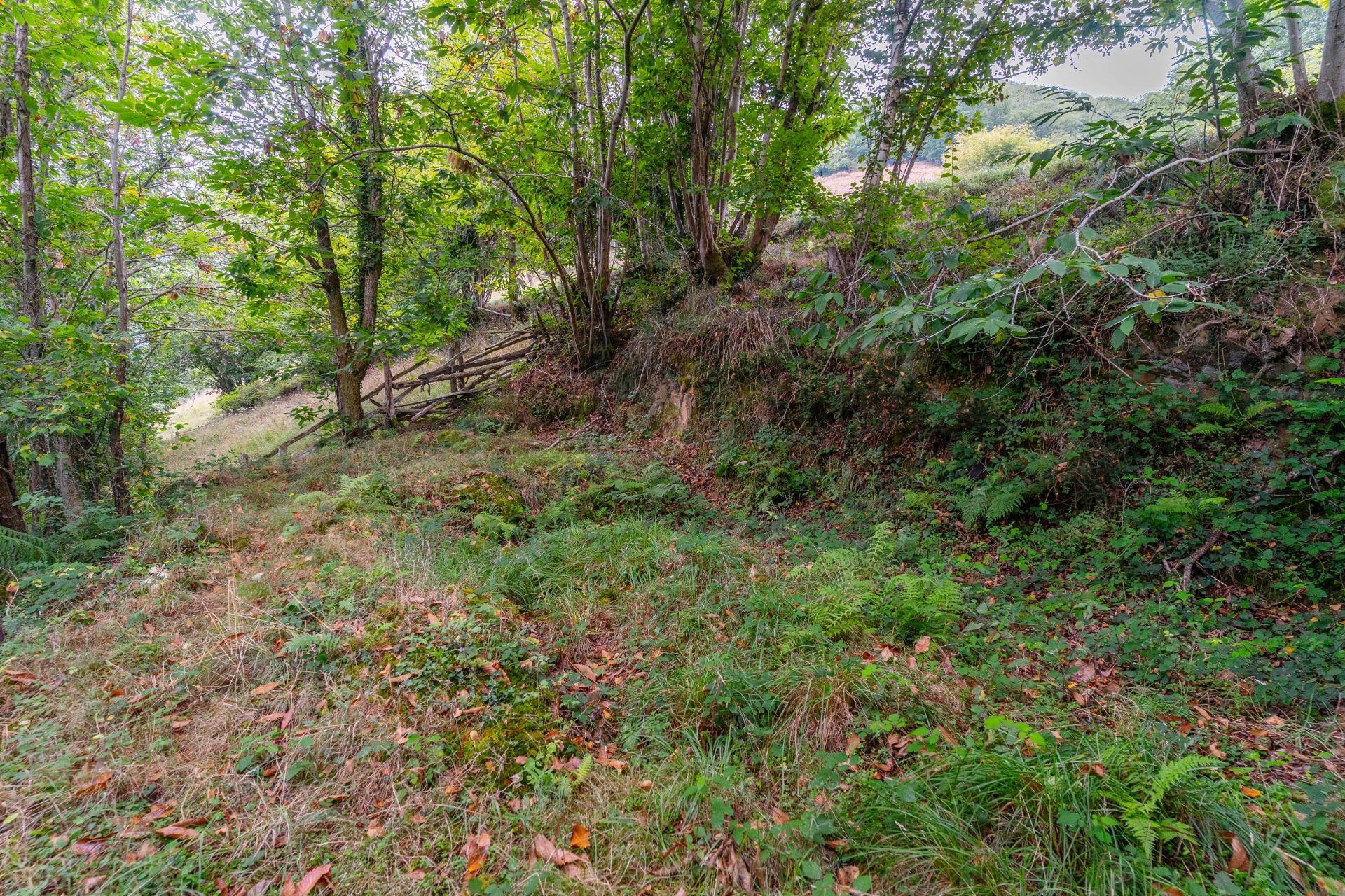 Fincas y solares-Venta-San MartÃ­n del Rey Aurelio-1839797-Foto-12