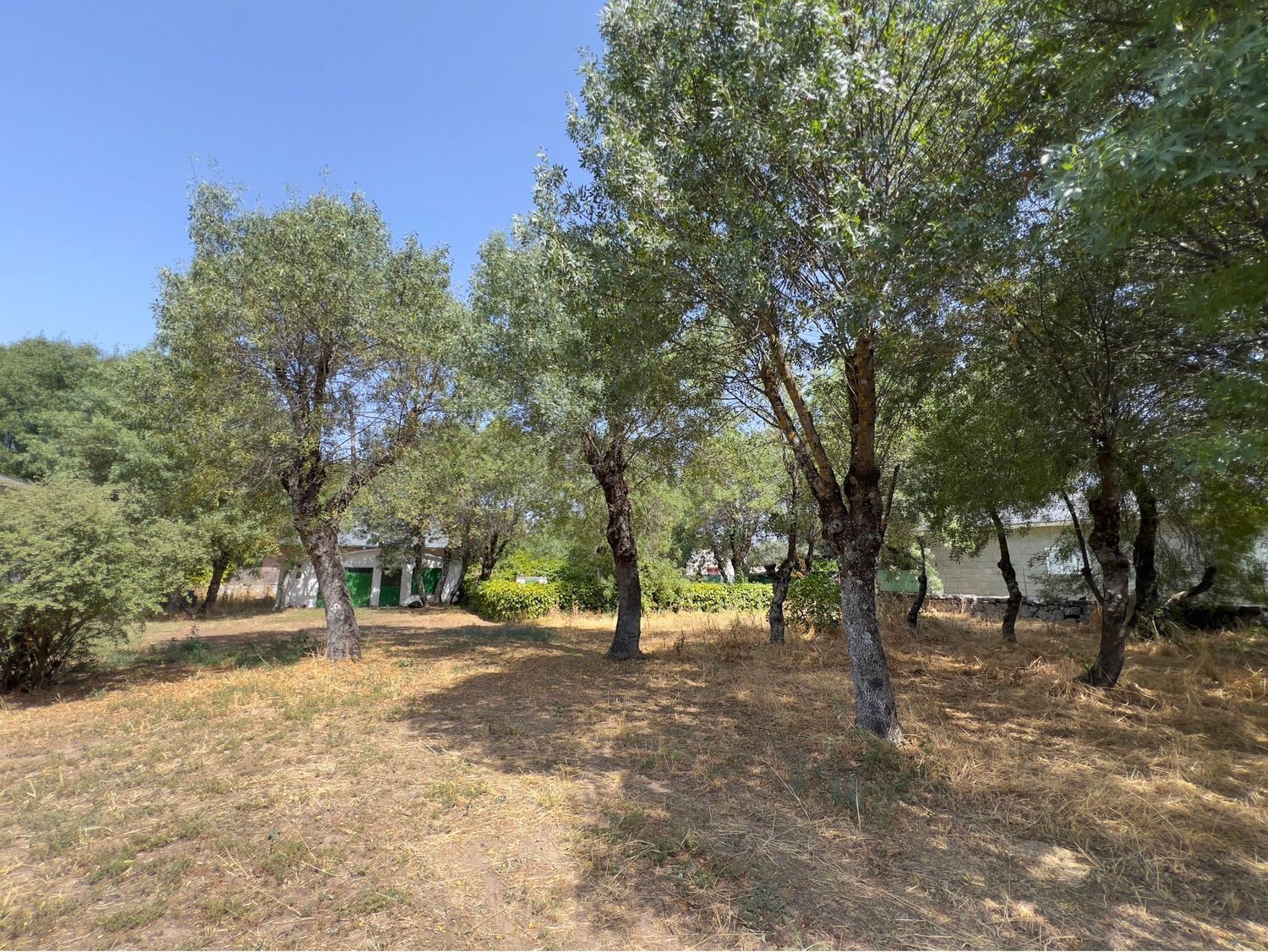 Casas o chalets-Venta-Collado Villalba-1831758-Foto-18