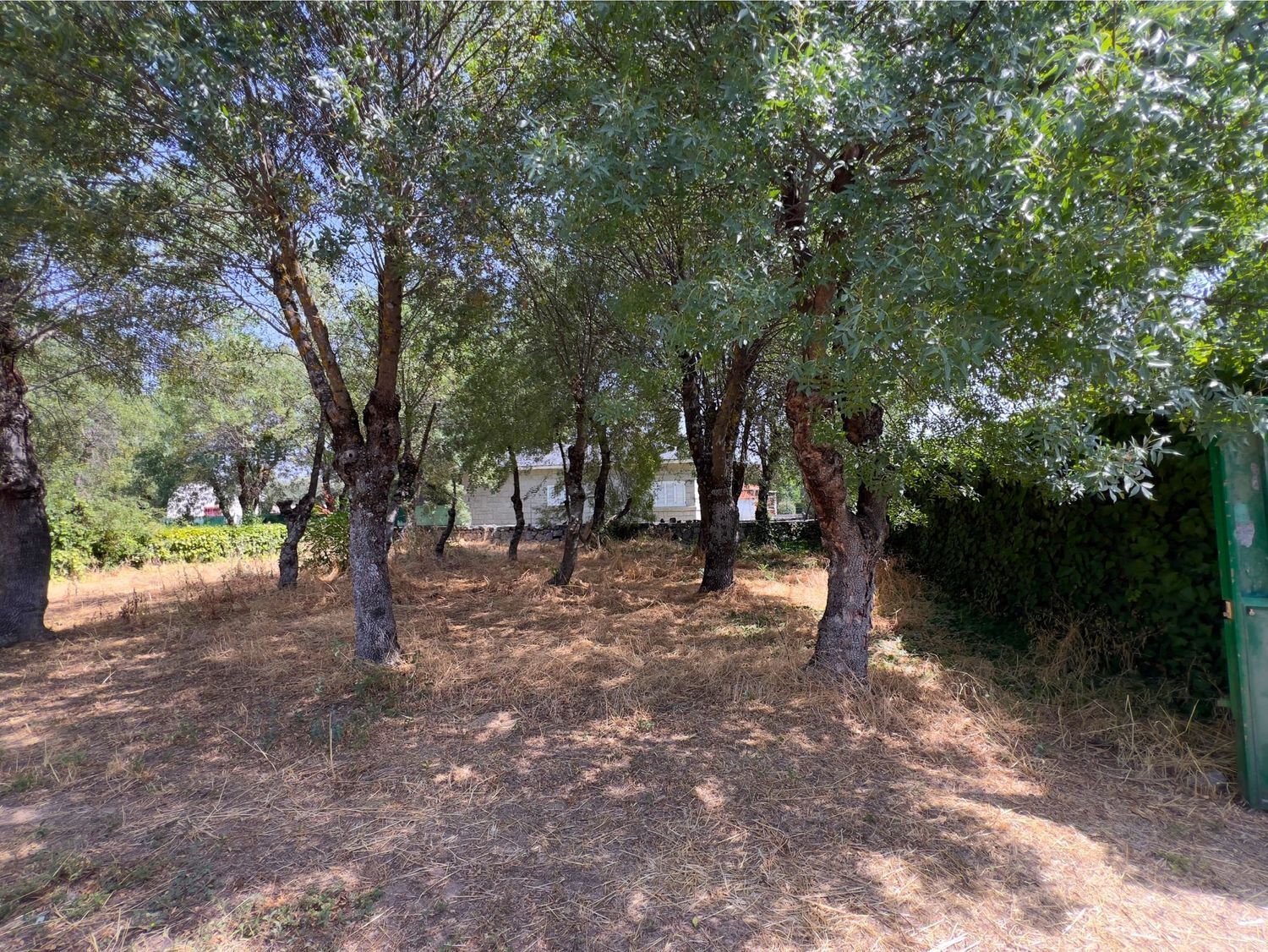 Casas o chalets-Venta-Collado Villalba-1831758-Foto-17