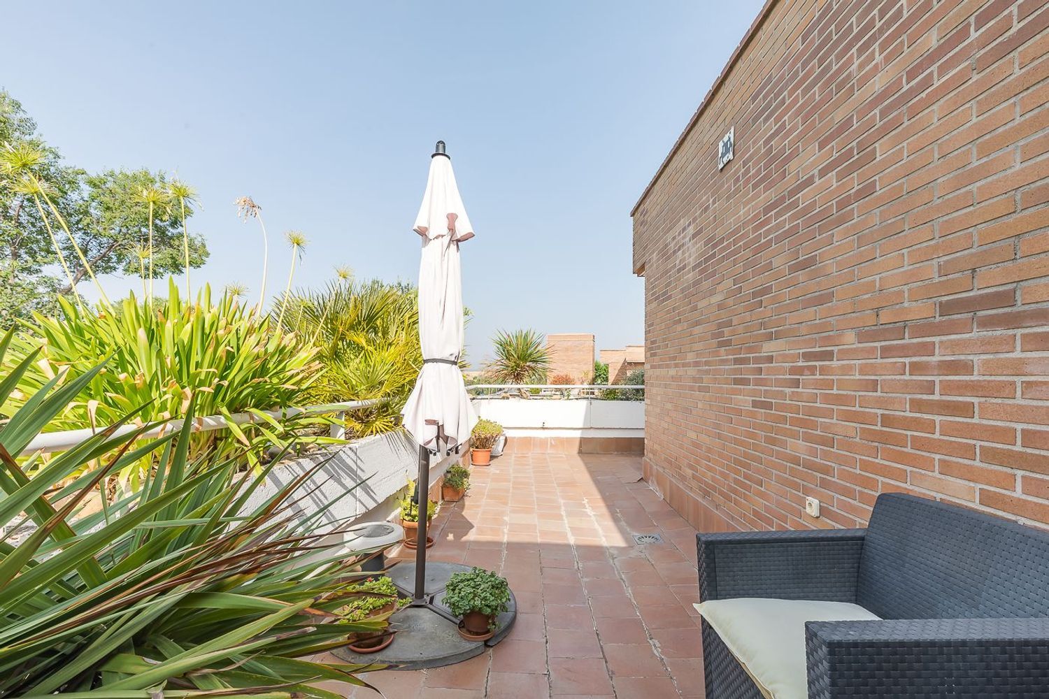 Pisos-Venta-Las Rozas de Madrid-448197-Foto-7