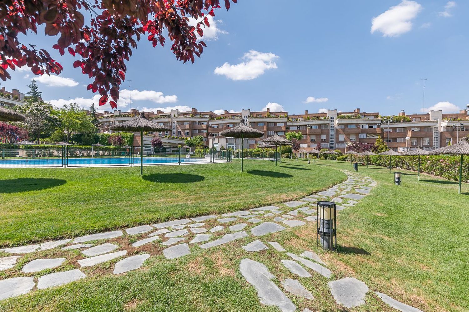 Pisos-Venta-Las Rozas de Madrid-448197-Foto-35