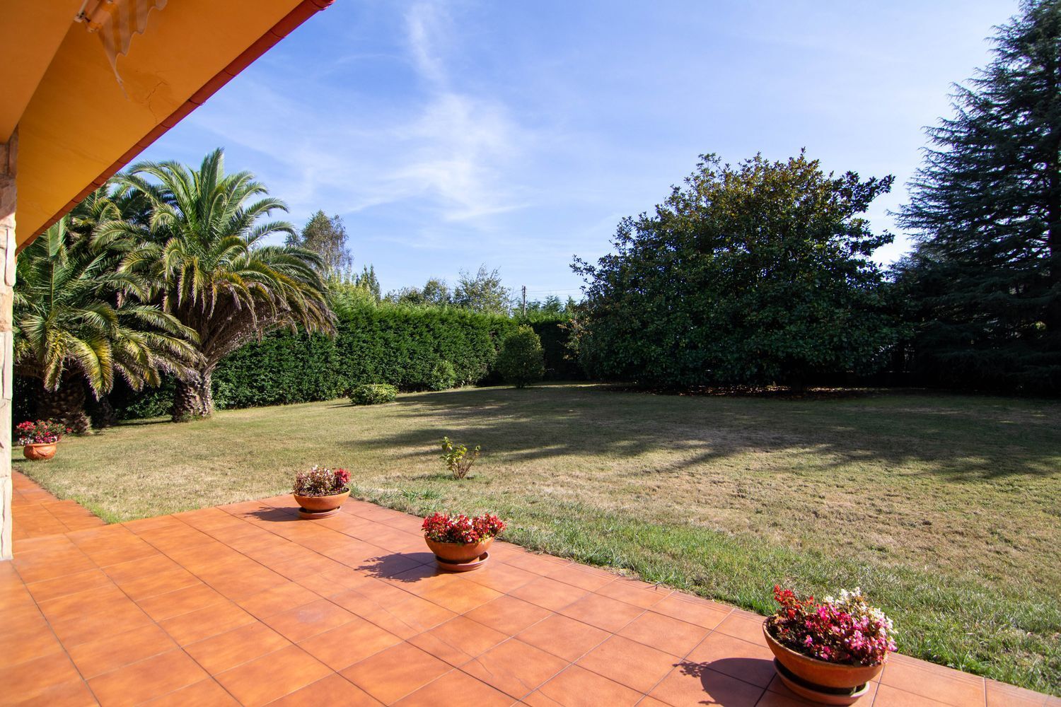Casas o chalets-Venta-Villaviciosa-1839833-Foto-38