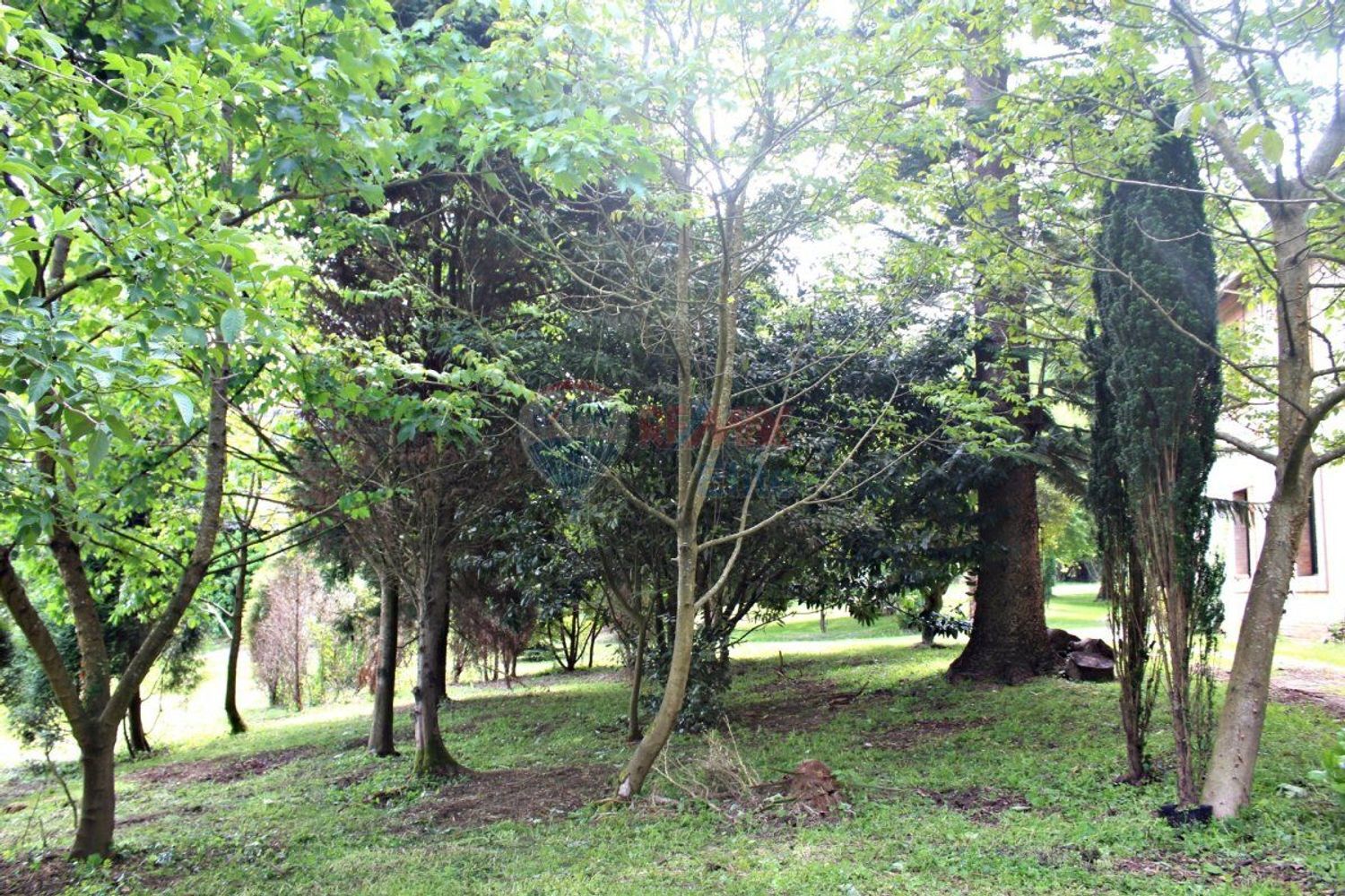 Casas o chalets-Venta-GijÃ³n-479904-Foto-2