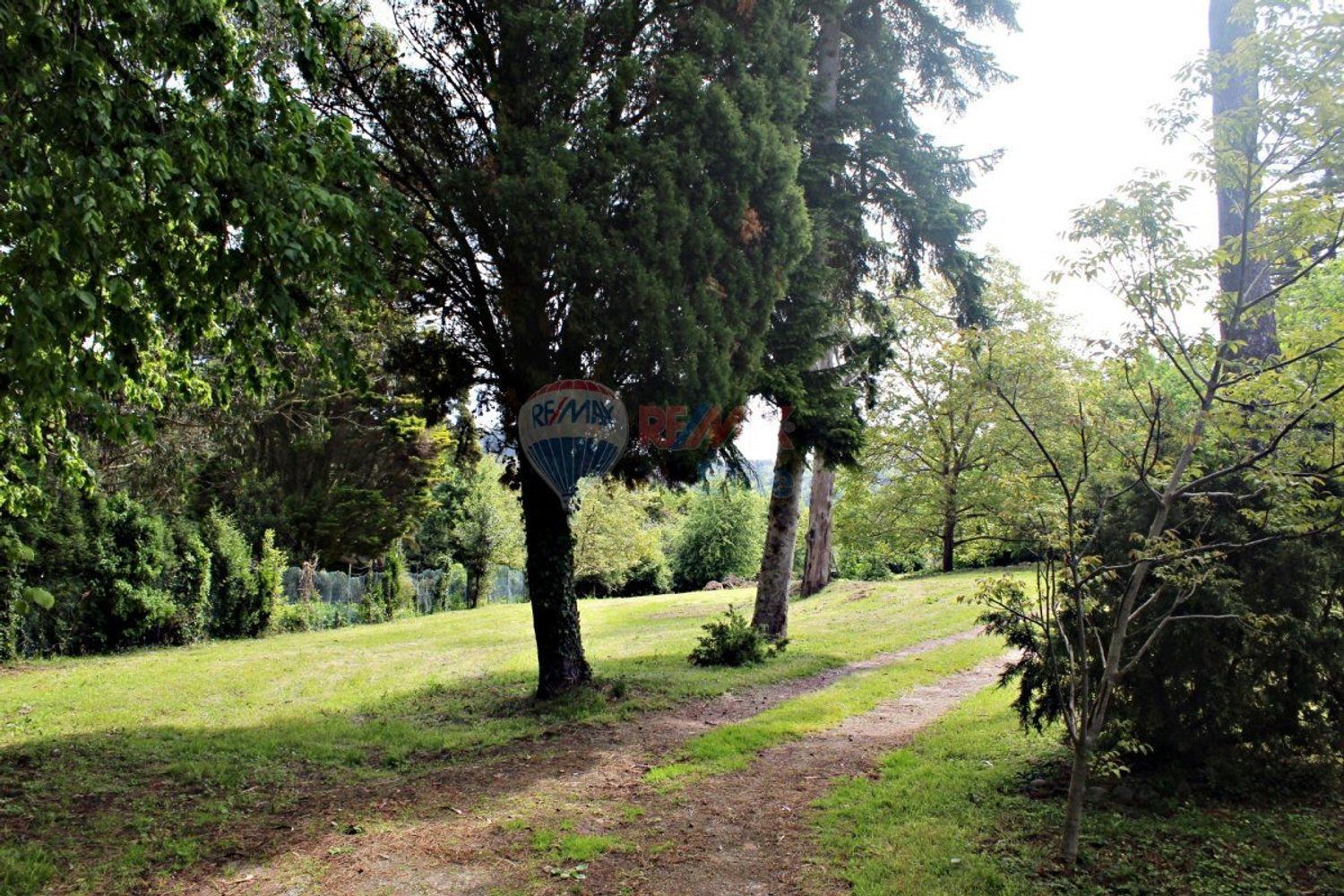 Casas o chalets-Venta-GijÃ³n-479904-Foto-5