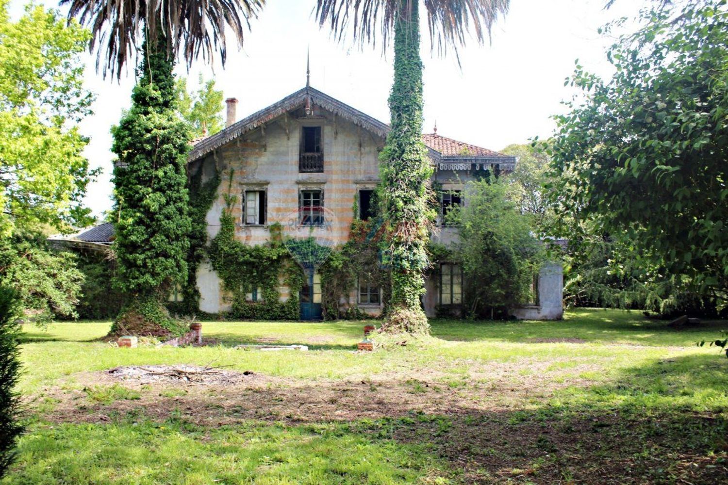Casas o chalets-Venta-GijÃ³n-479904-Foto-24