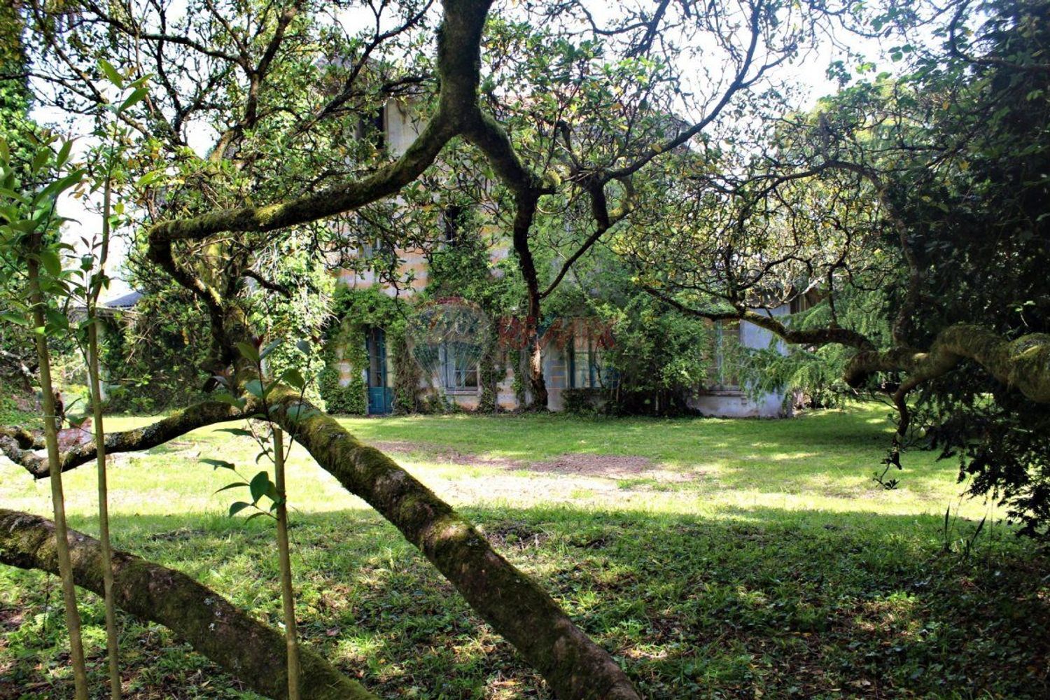 Casas o chalets-Venta-GijÃ³n-479904-Foto-28