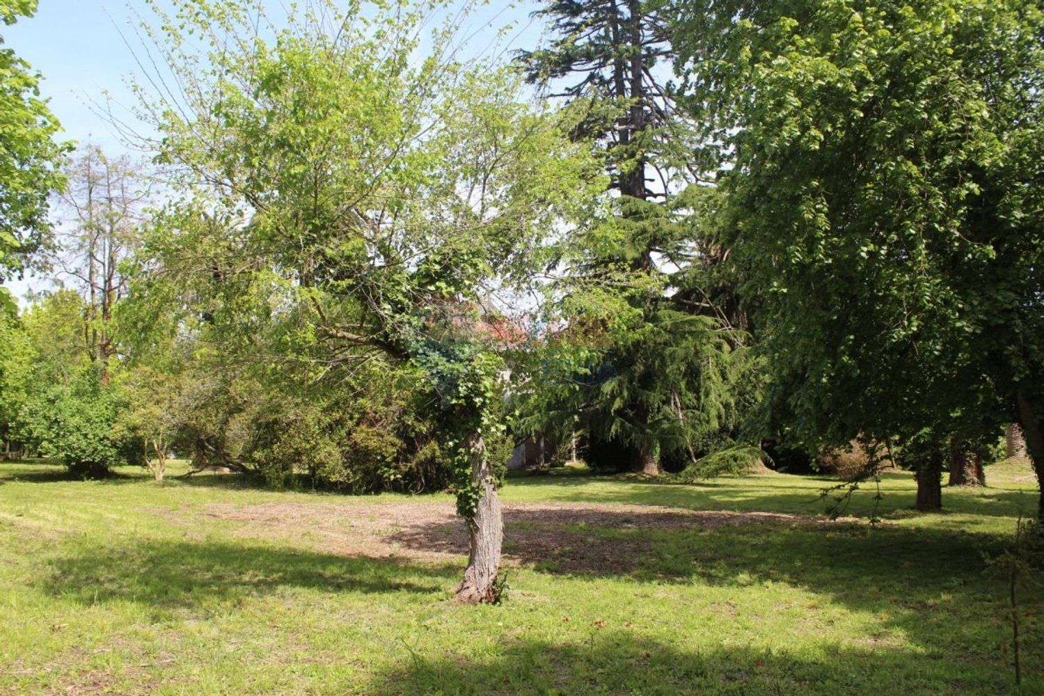 Casas o chalets-Venta-GijÃ³n-479904-Foto-26