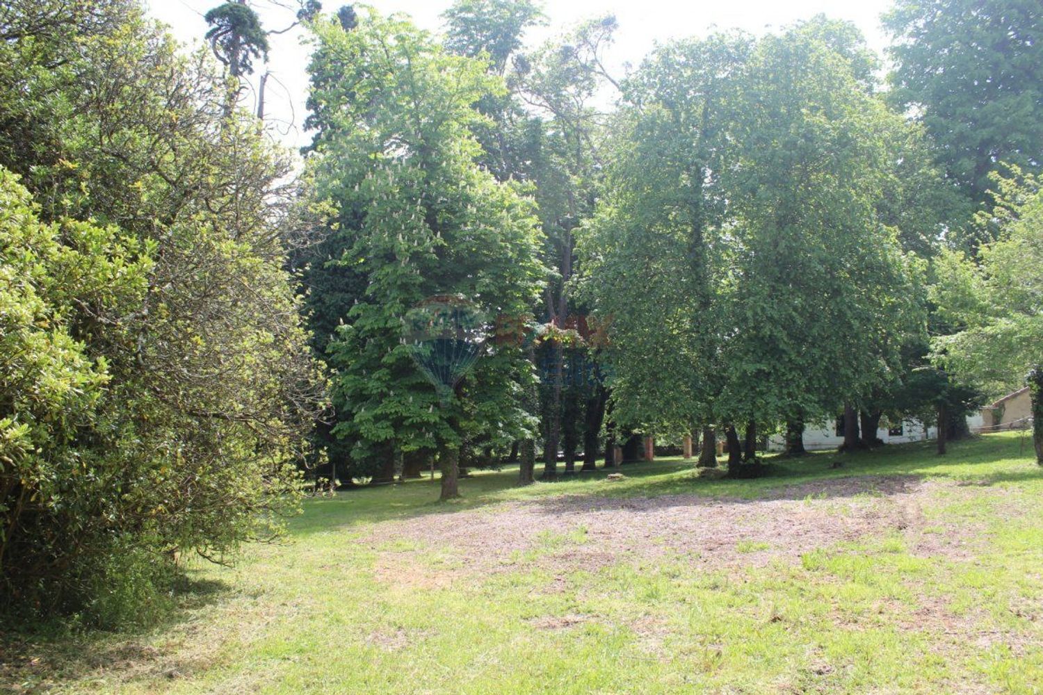 Casas o chalets-Venta-GijÃ³n-479904-Foto-27