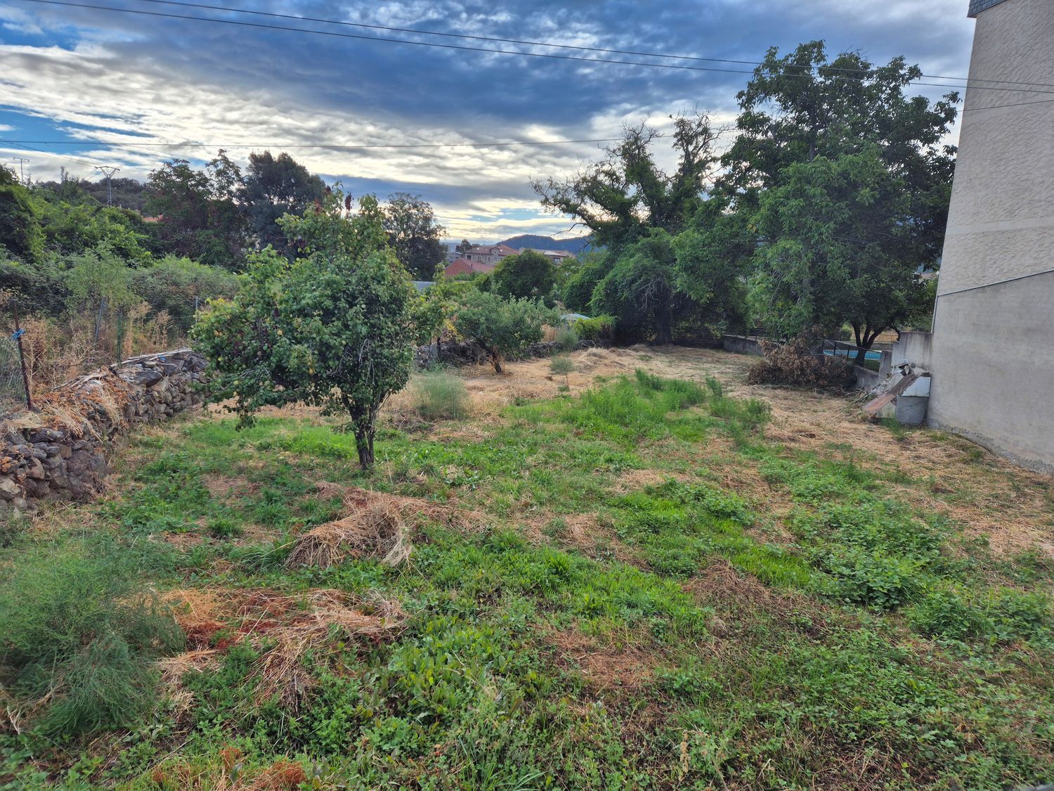 Fincas y solares-Venta-Navaluenga-1839848