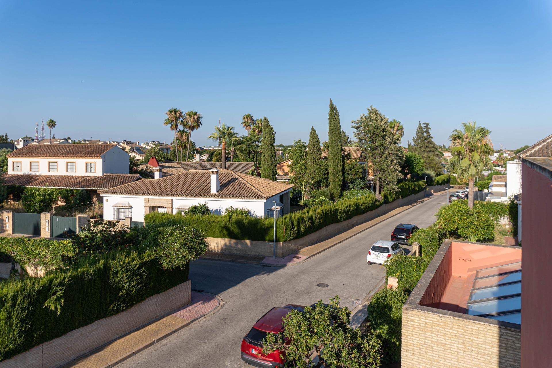 Casas o chalets-Venta-Valencina de la ConcepciÃ³n-1839860-Foto-65