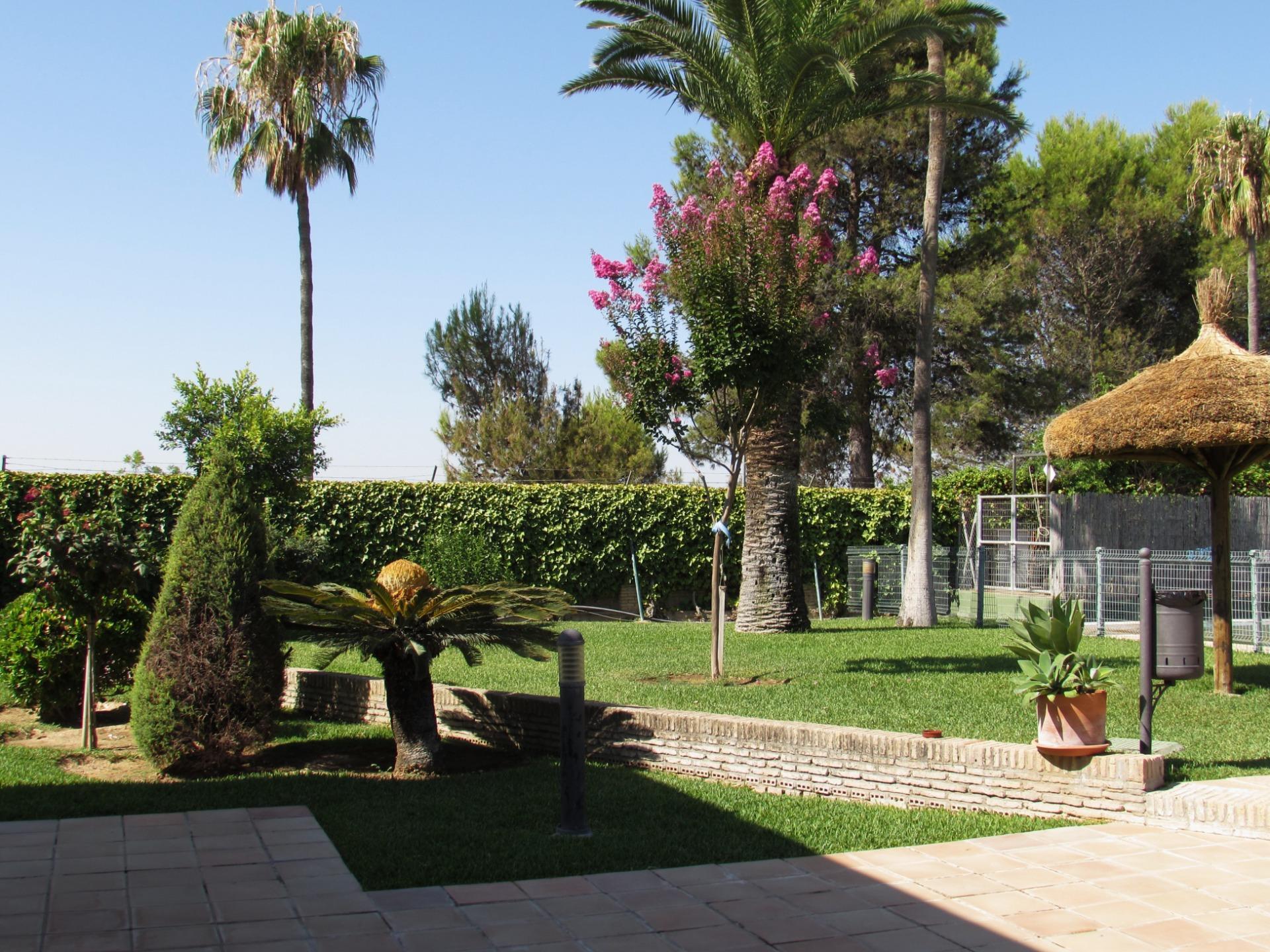 Casas o chalets-Venta-Valencina de la ConcepciÃ³n-1839860-Foto-67